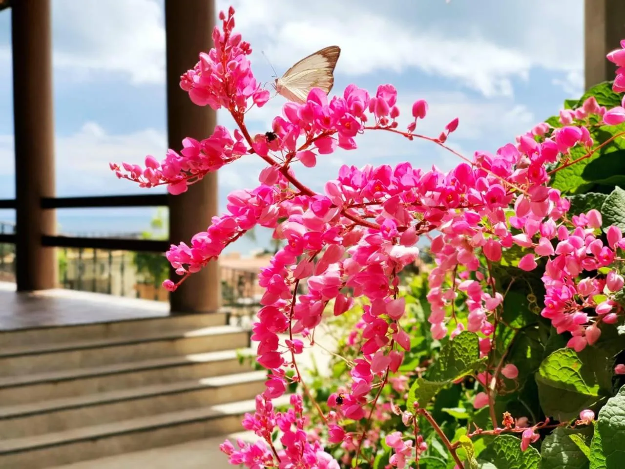 Garden in Hotel Santuário das Águias by Nobile