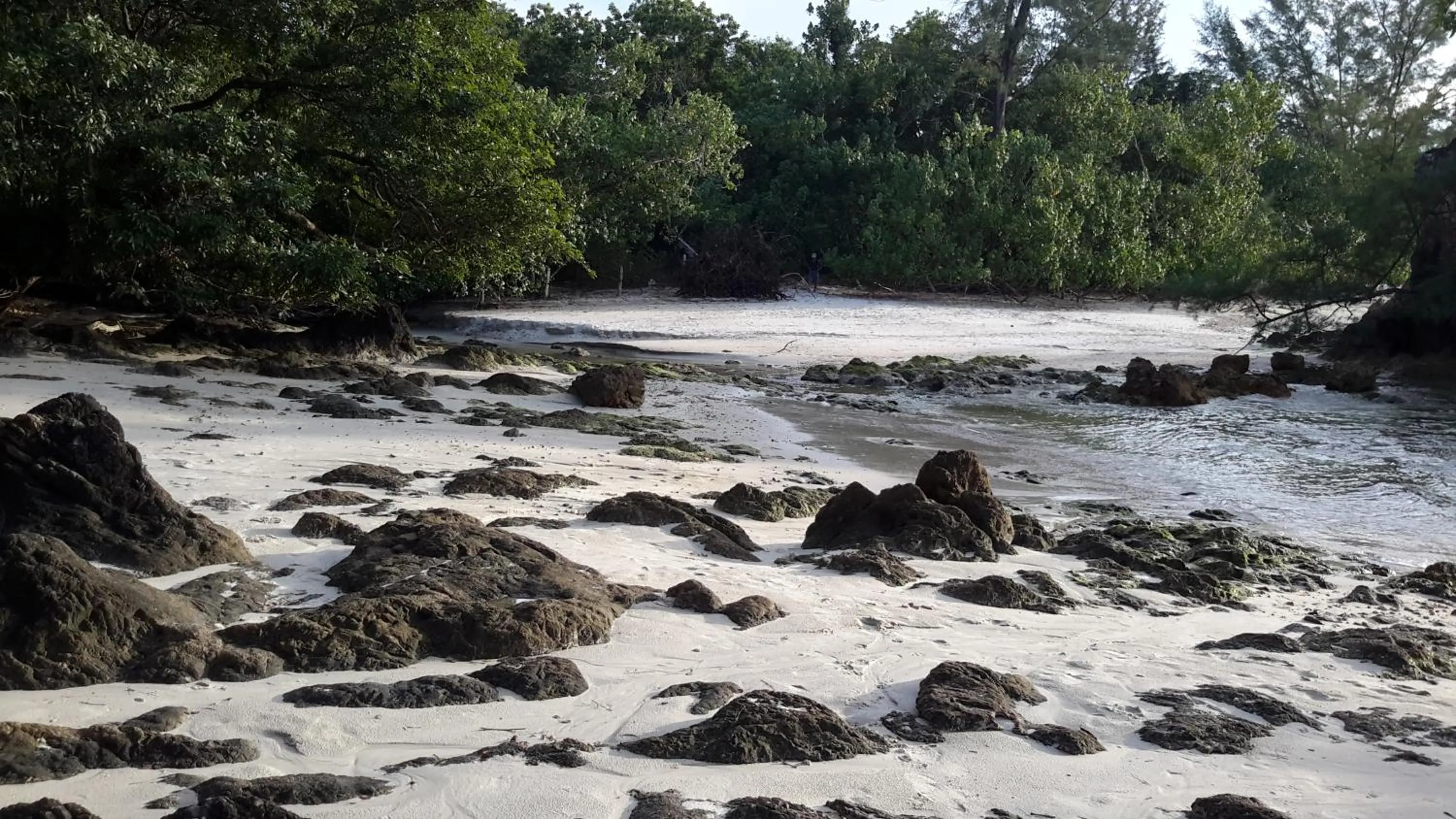 Beach in Eco Bungalow