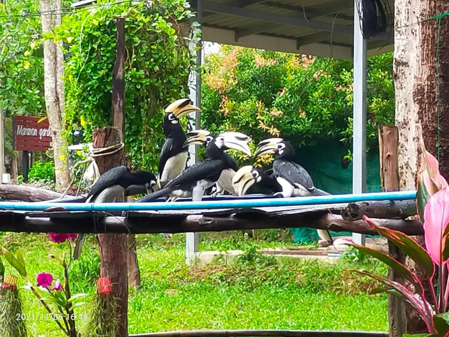 On site in Eco Bungalow