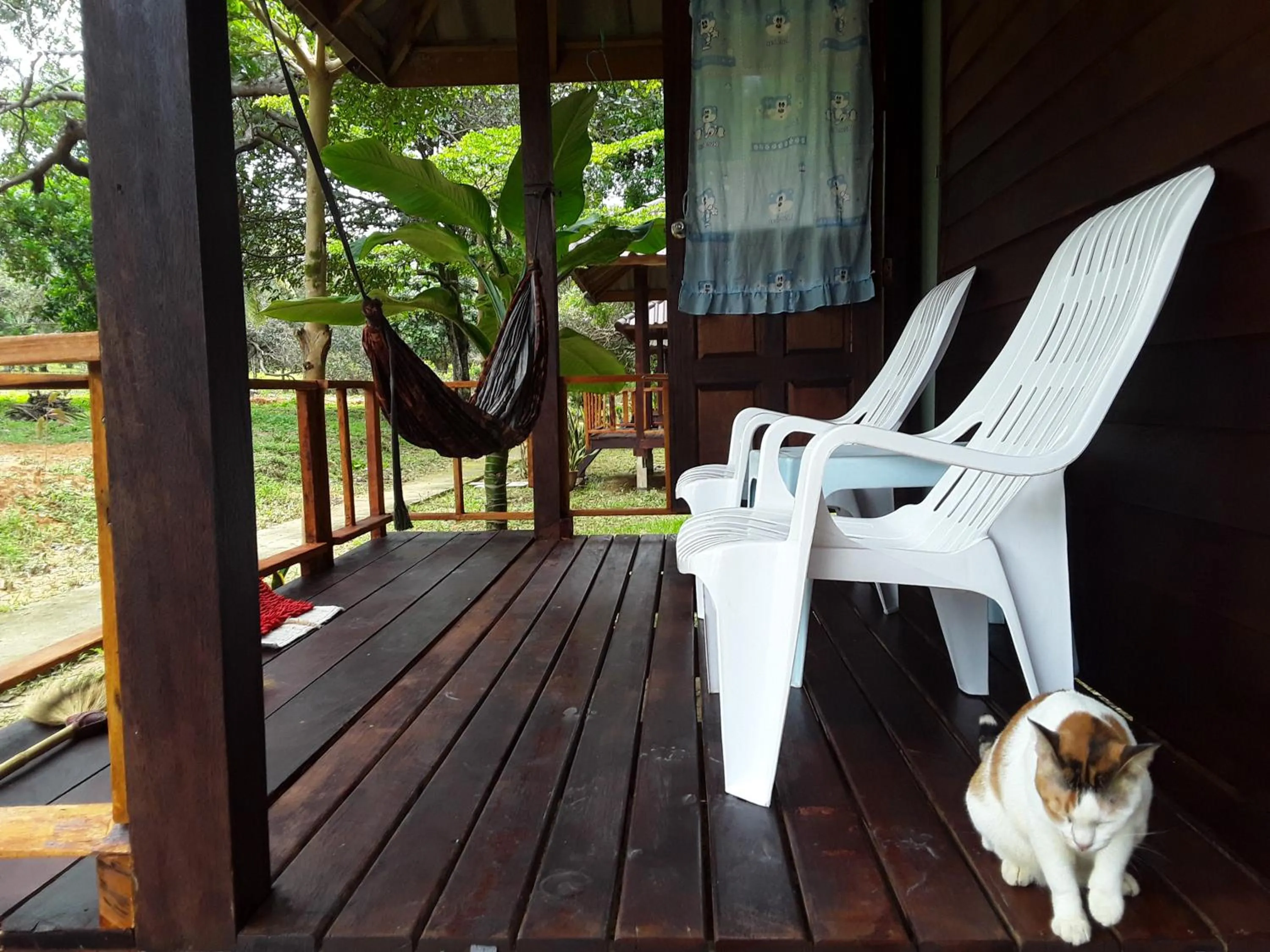 Balcony/Terrace in Eco Bungalow