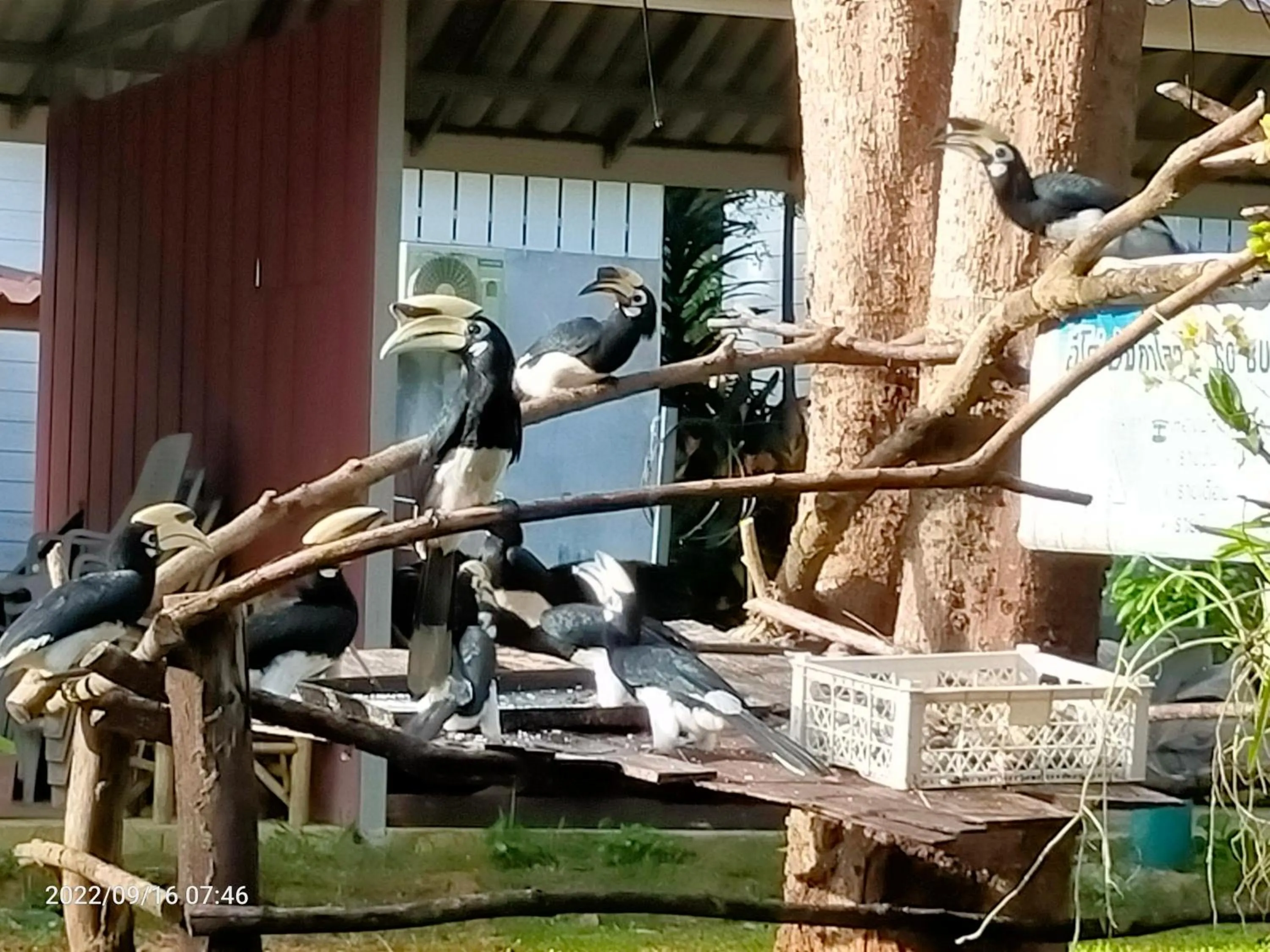 Quiet street view in Eco Bungalow