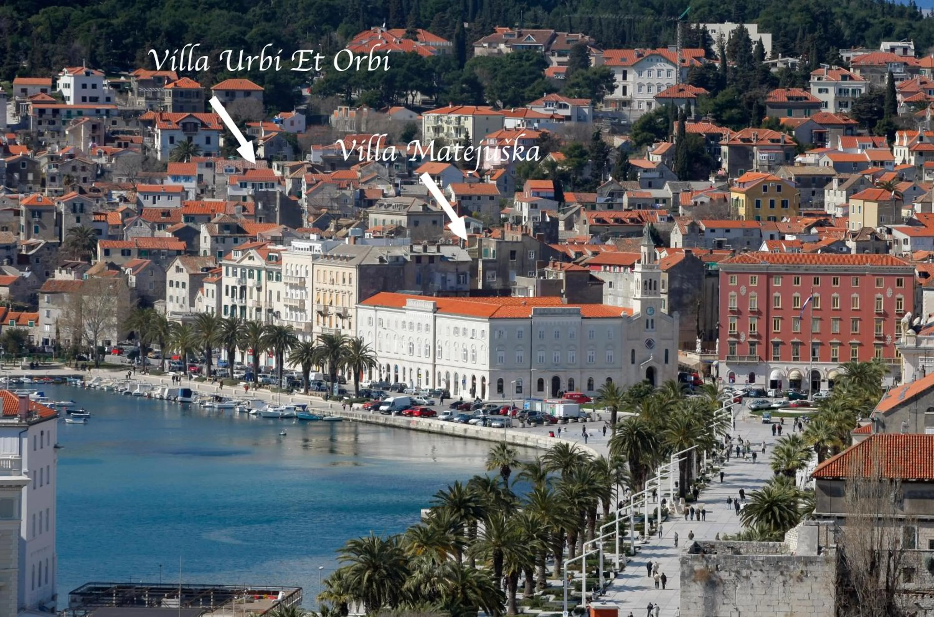 Area and facilities in Villa Matejuska Heritage