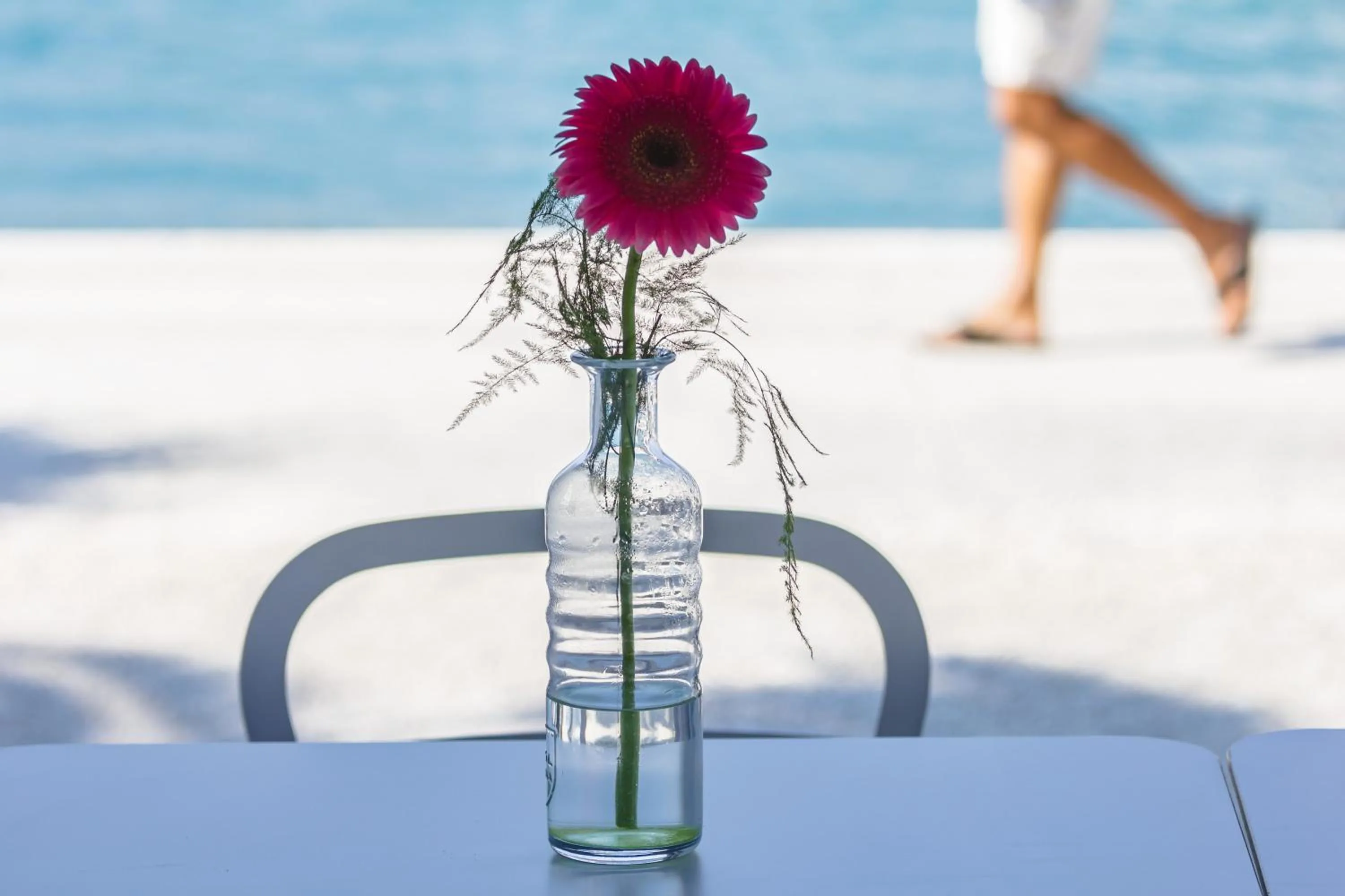 Decorative detail in Domus Maritima