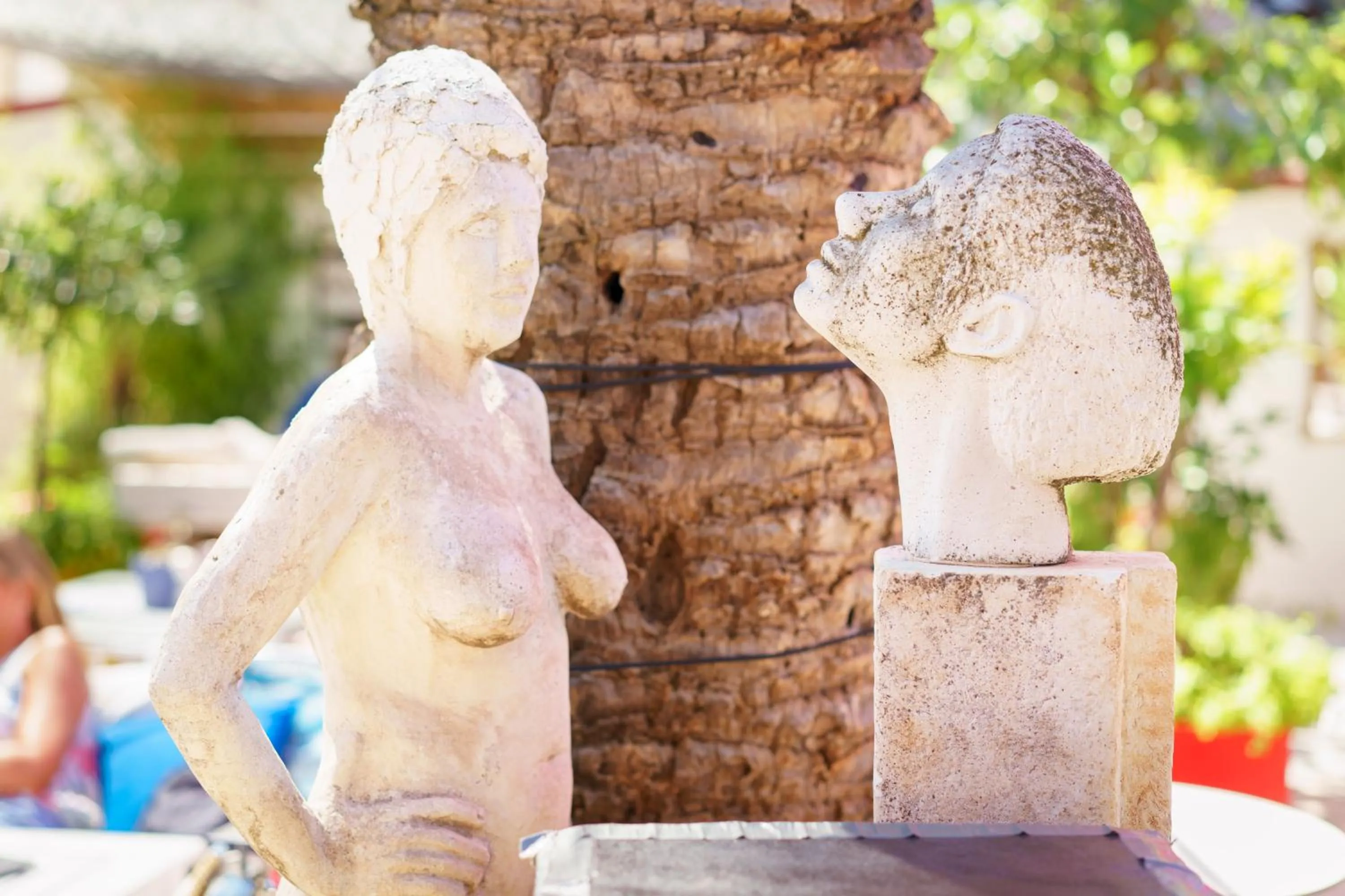 Animals in Domus Maritima