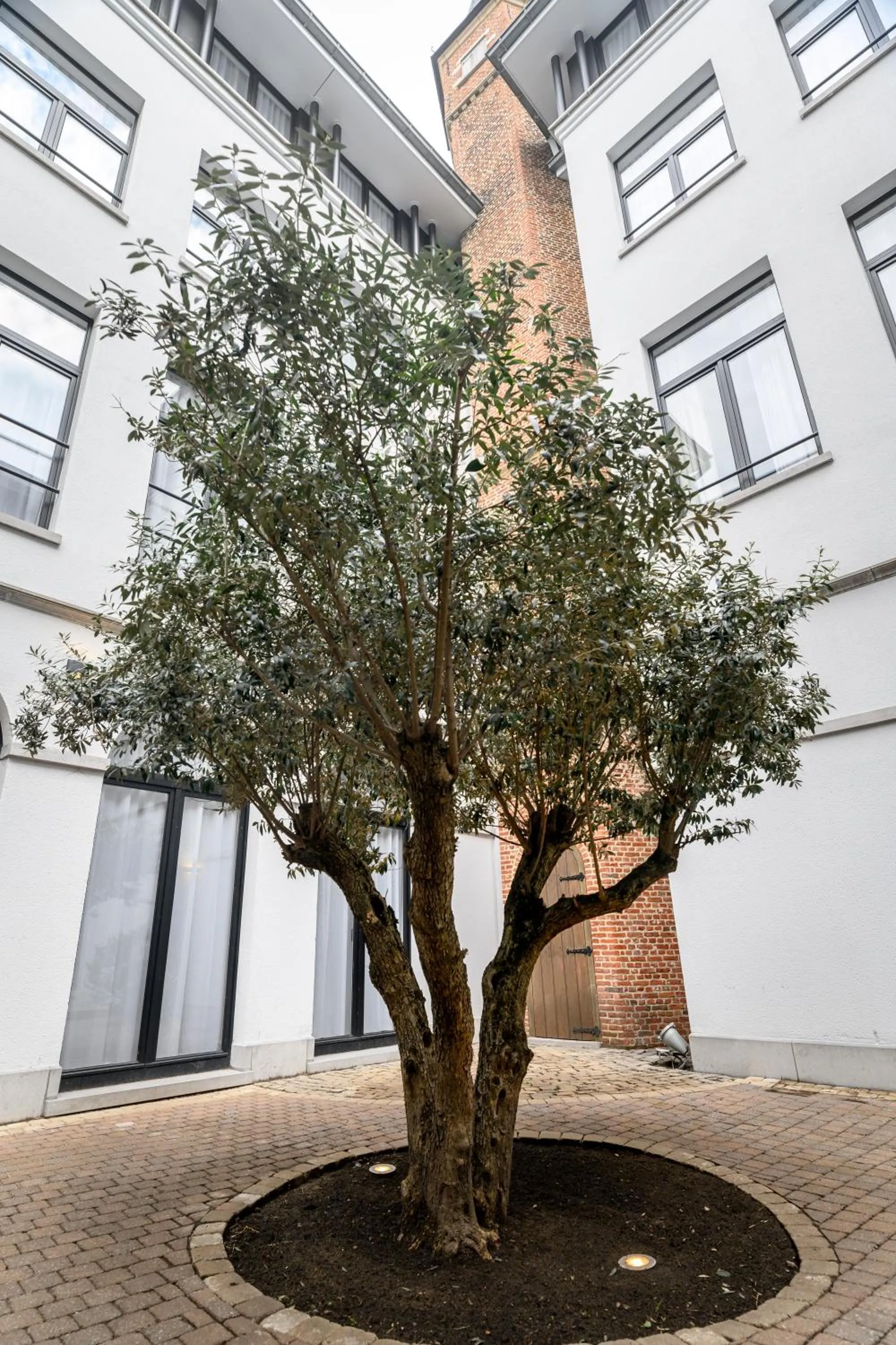 Property building in Hotel Rubens-Grote Markt