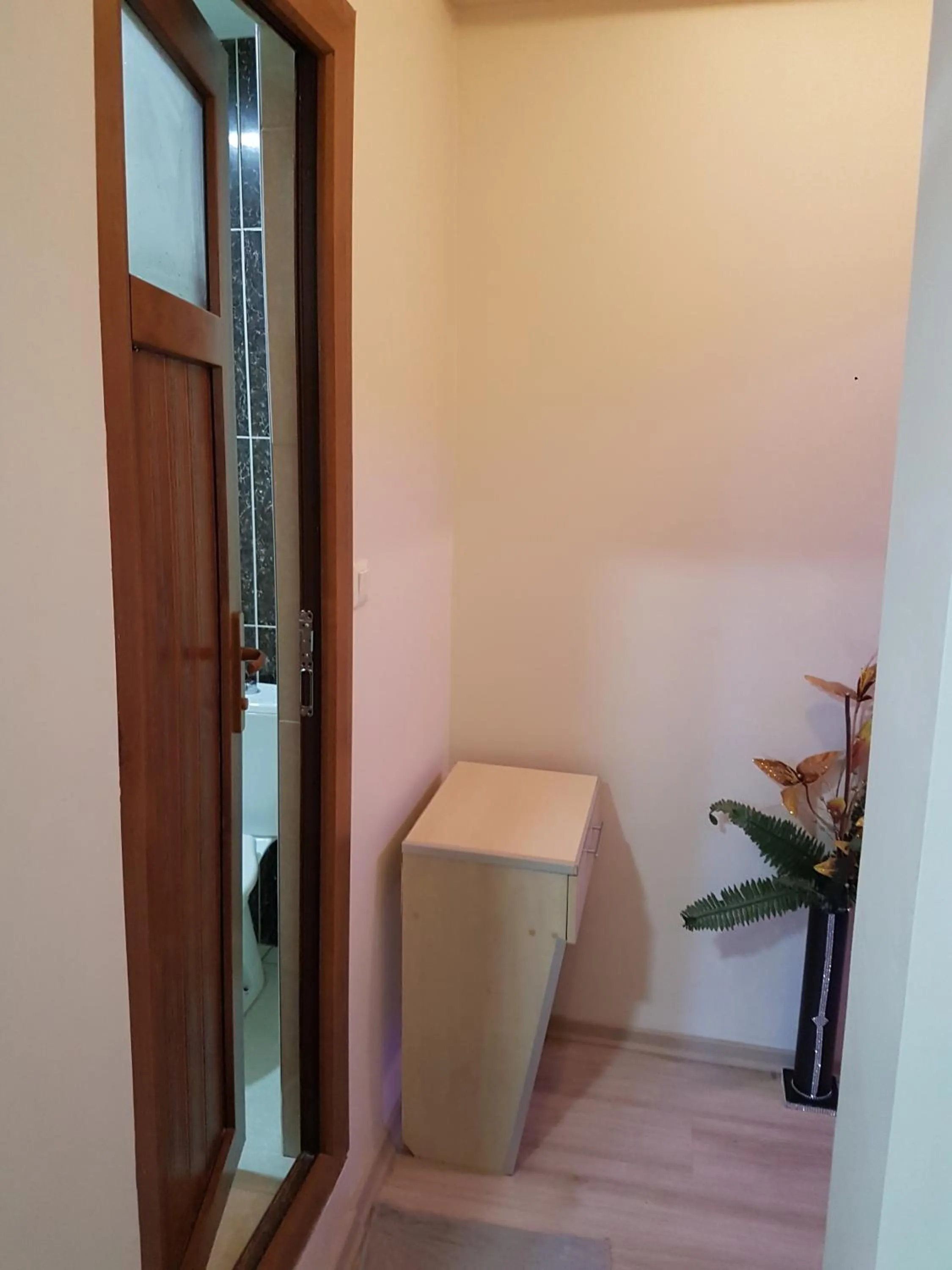 Area and facilities in Agora Park Hotel