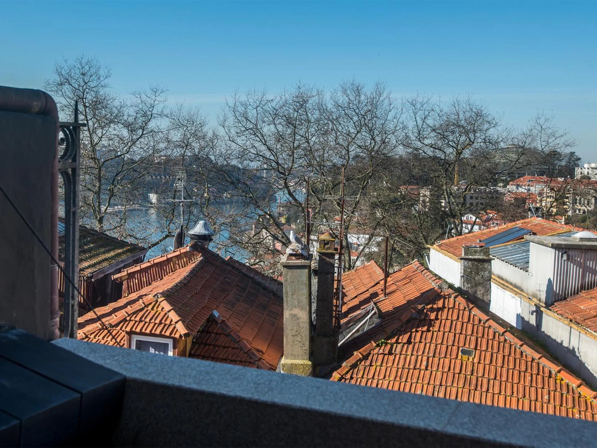 City view in Domum 2