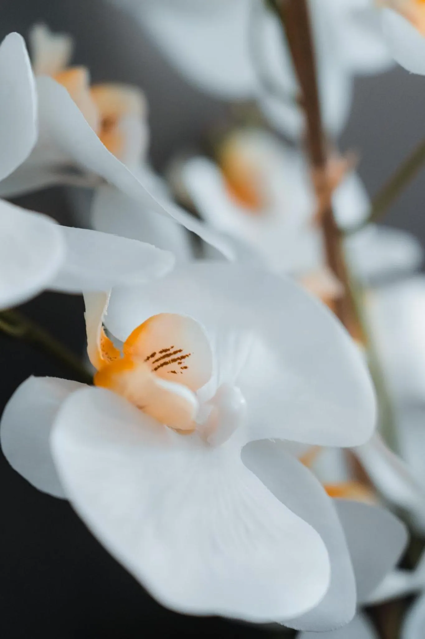 urban by balladins Perpignan