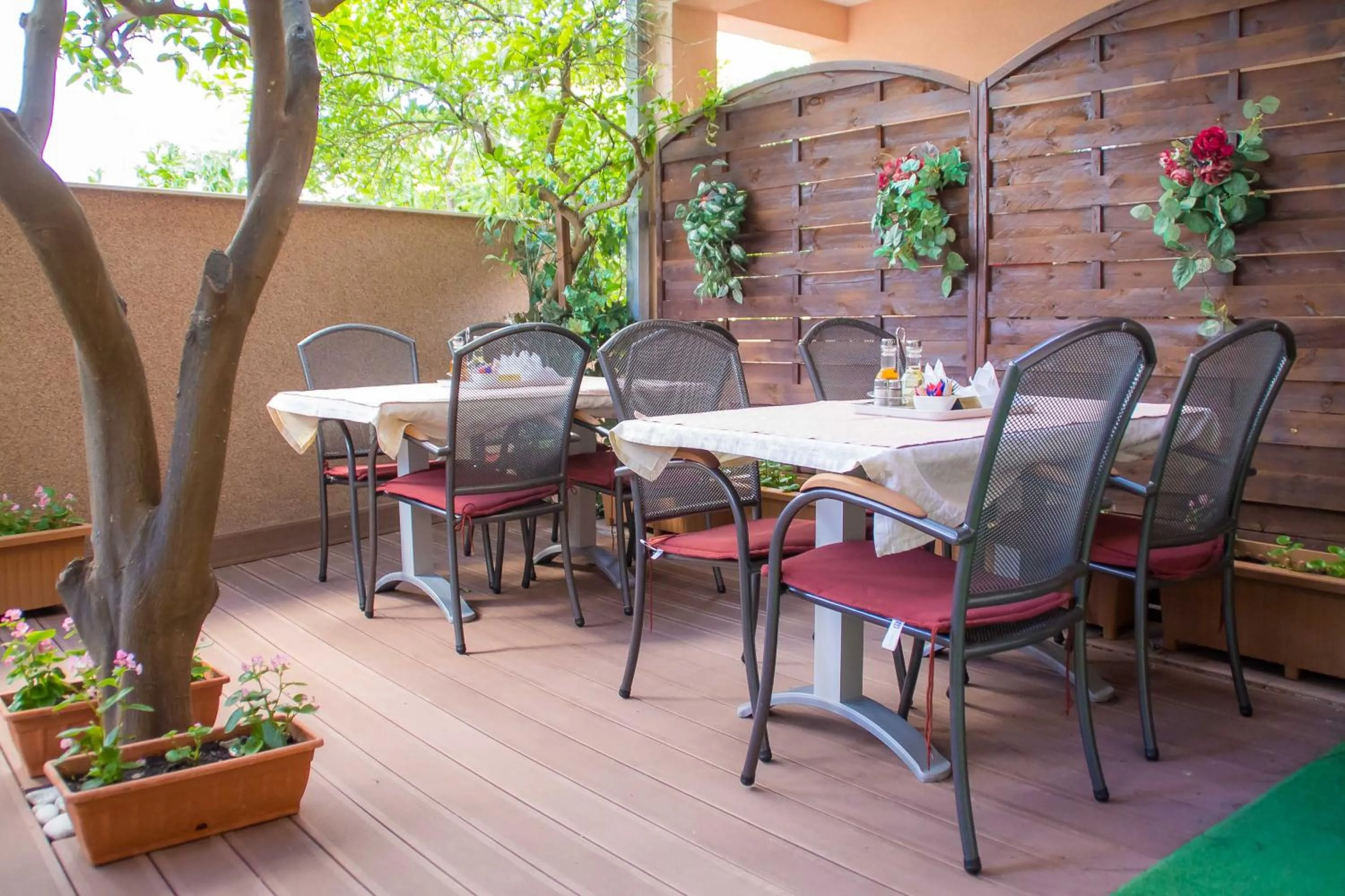 Patio in Villa Midea