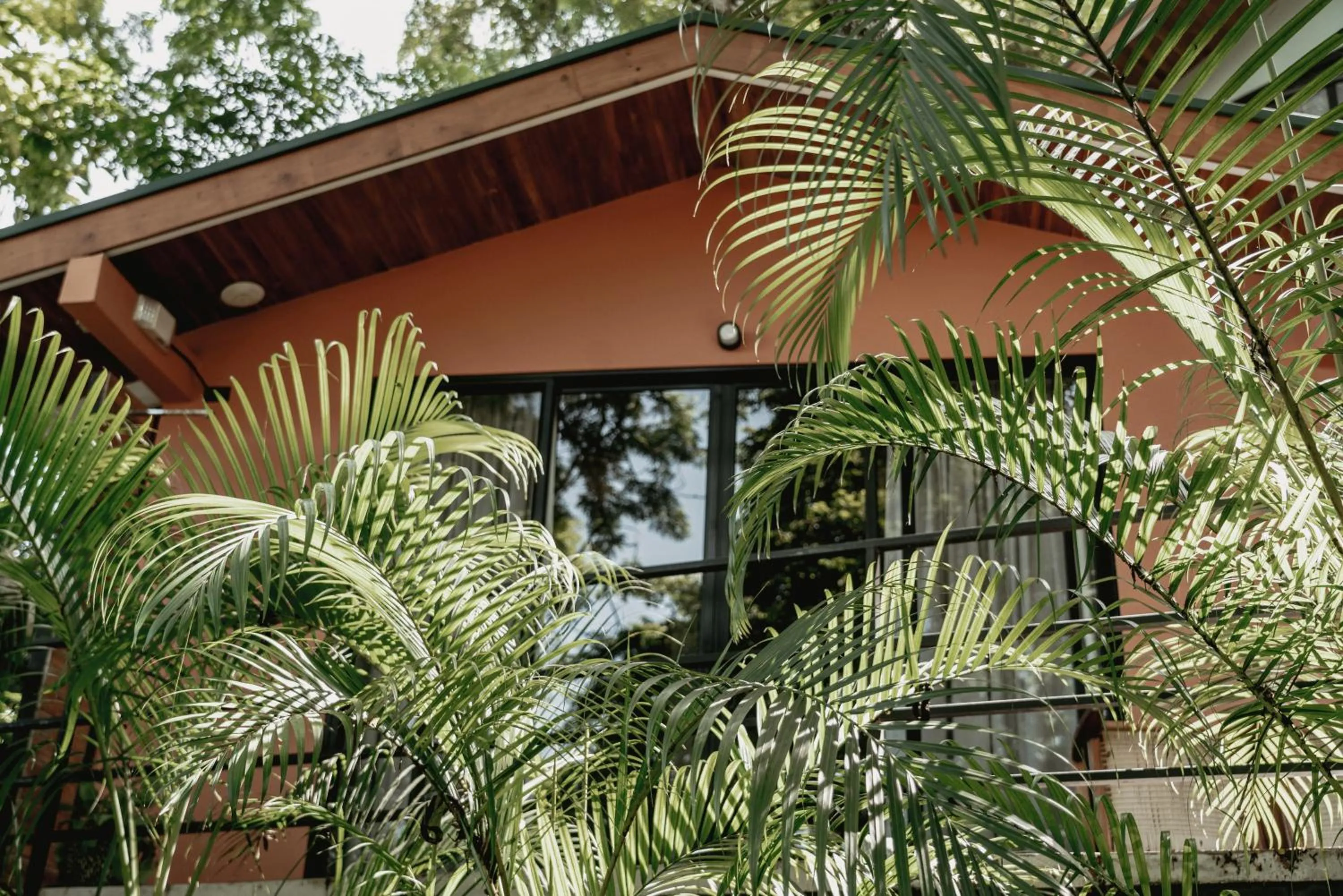 Armonia Santa Teresa