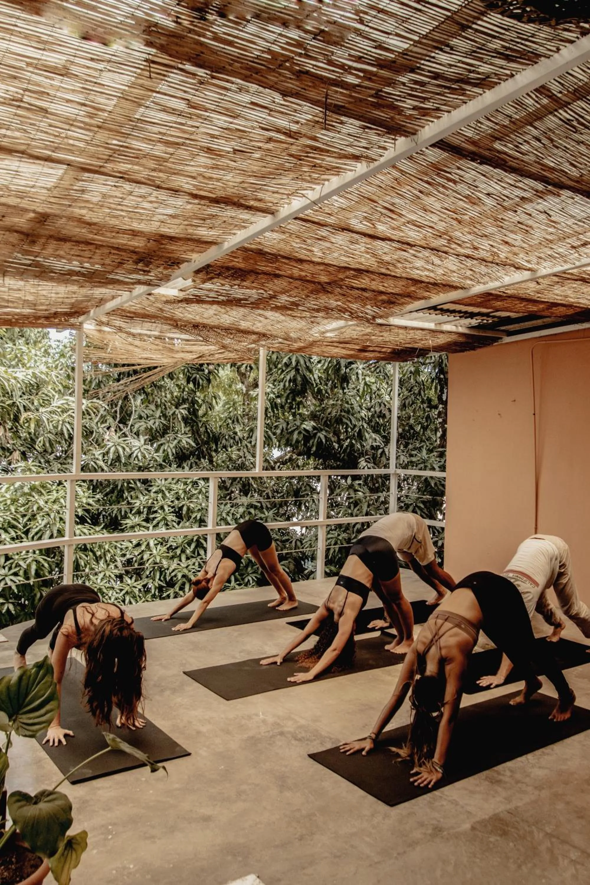 Armonia Santa Teresa