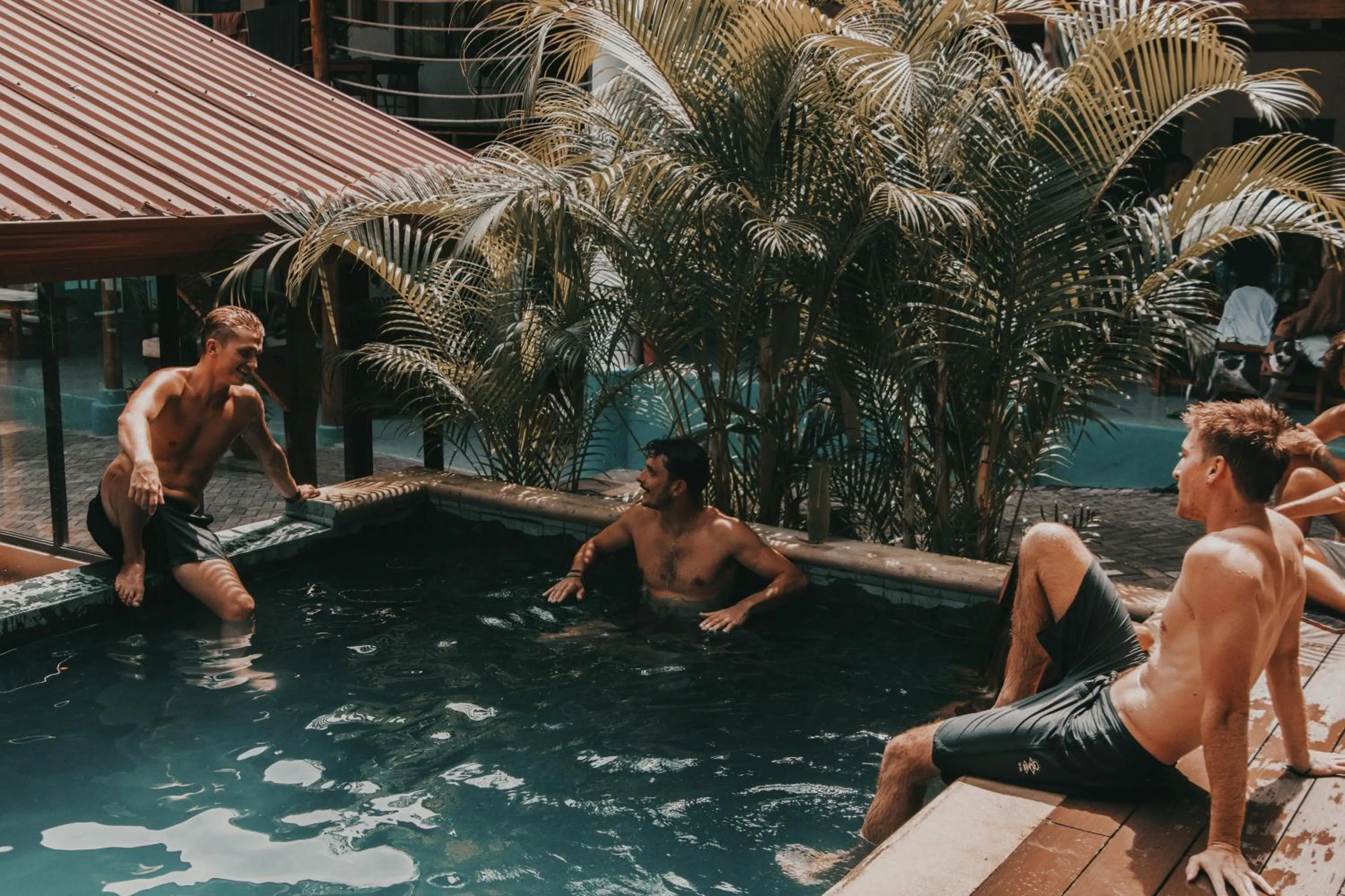 Armonia Santa Teresa