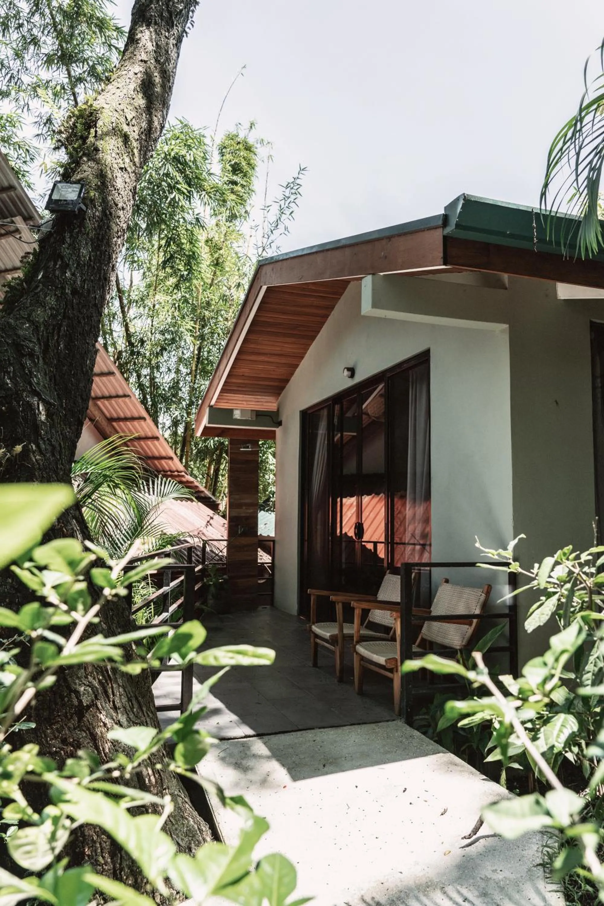 Armonia Santa Teresa