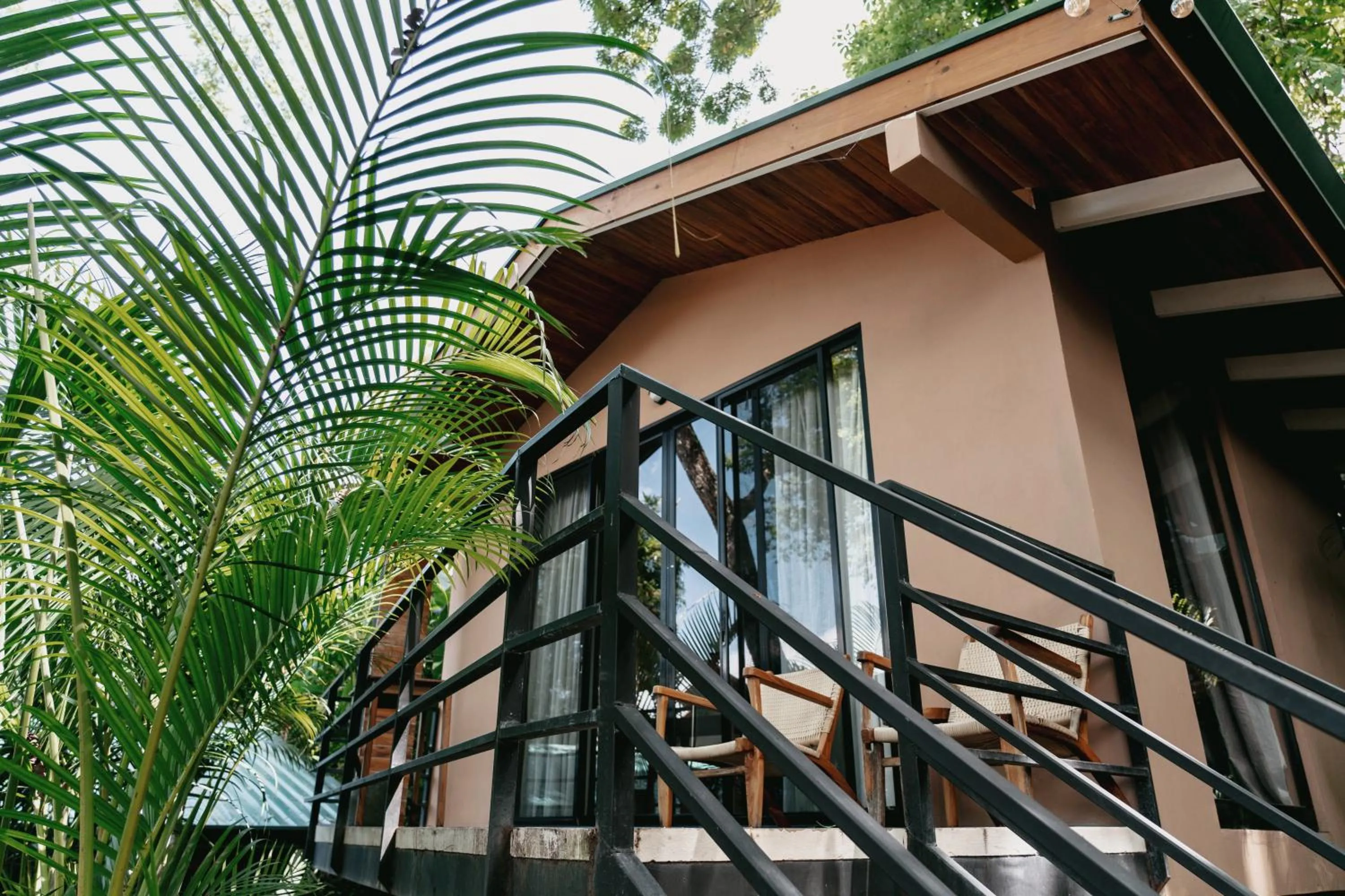 Armonia Santa Teresa