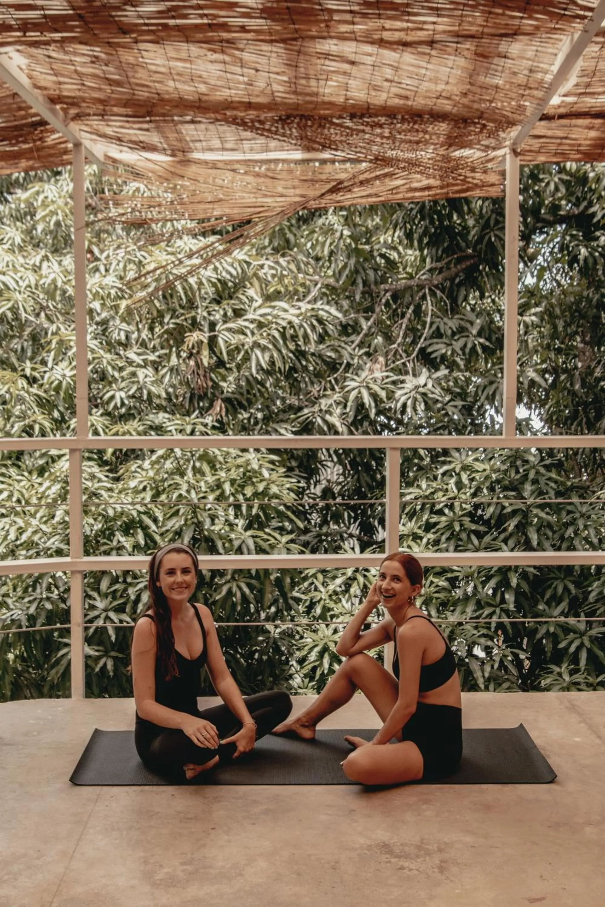 Armonia Santa Teresa