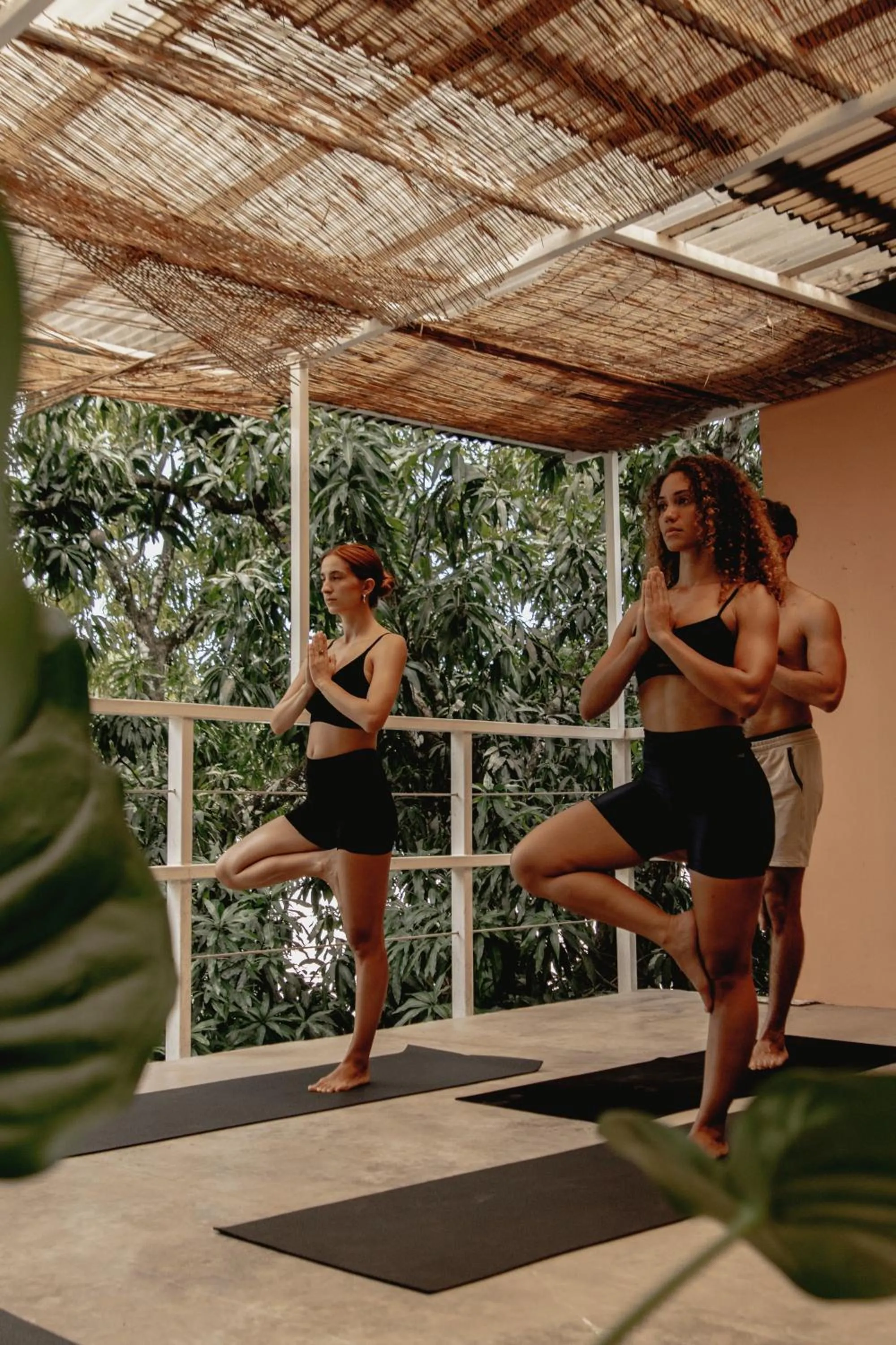 Armonia Santa Teresa