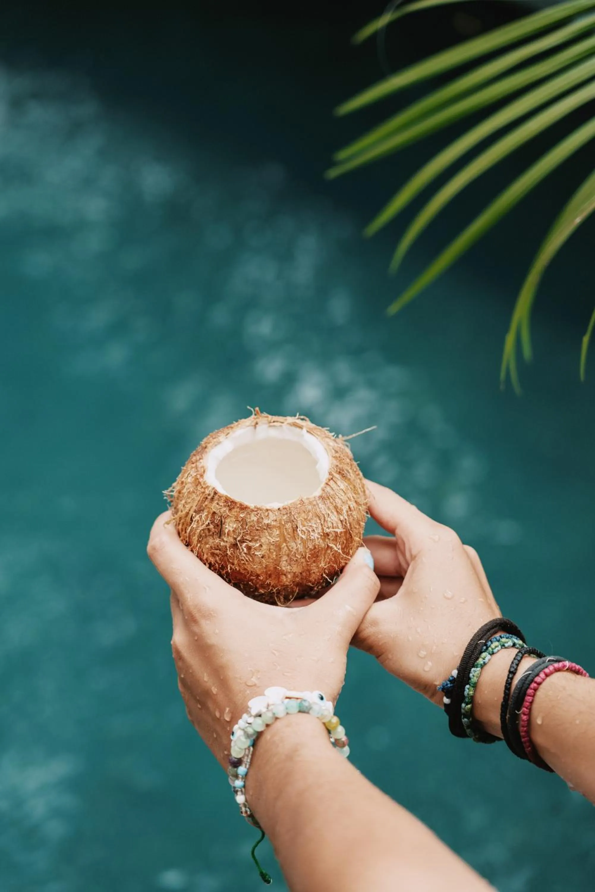 Armonia Santa Teresa