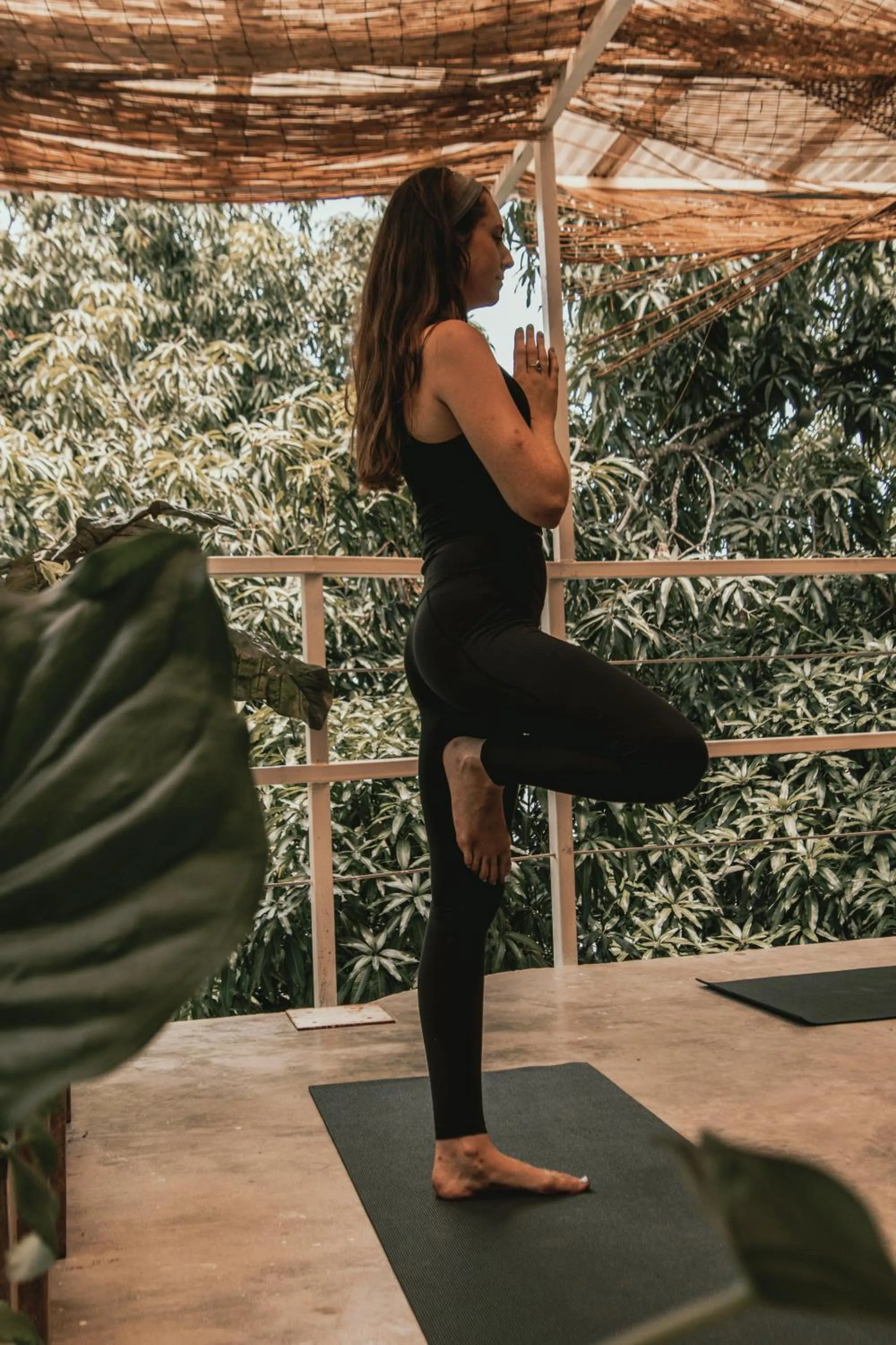 Armonia Santa Teresa