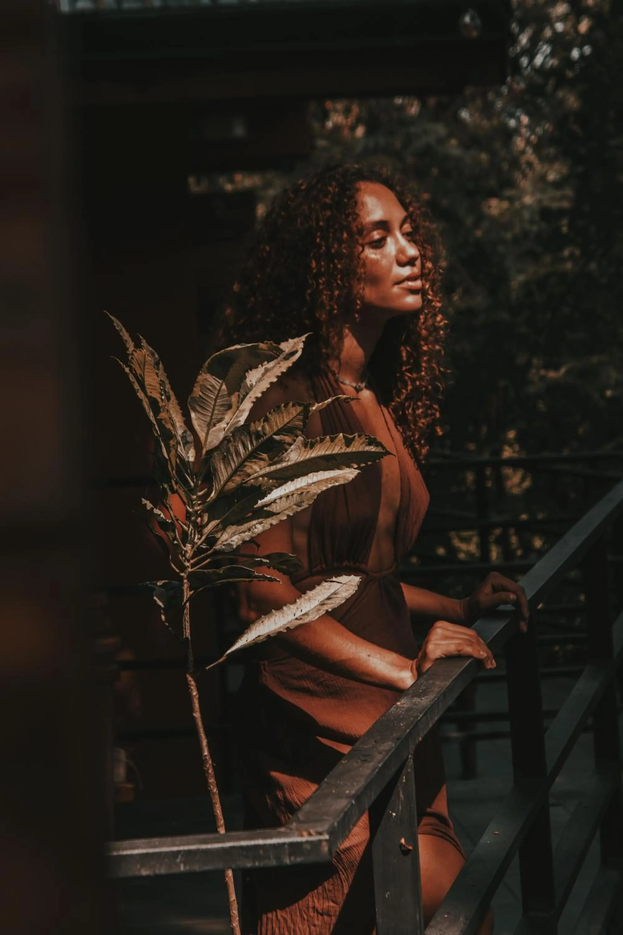 Armonia Santa Teresa