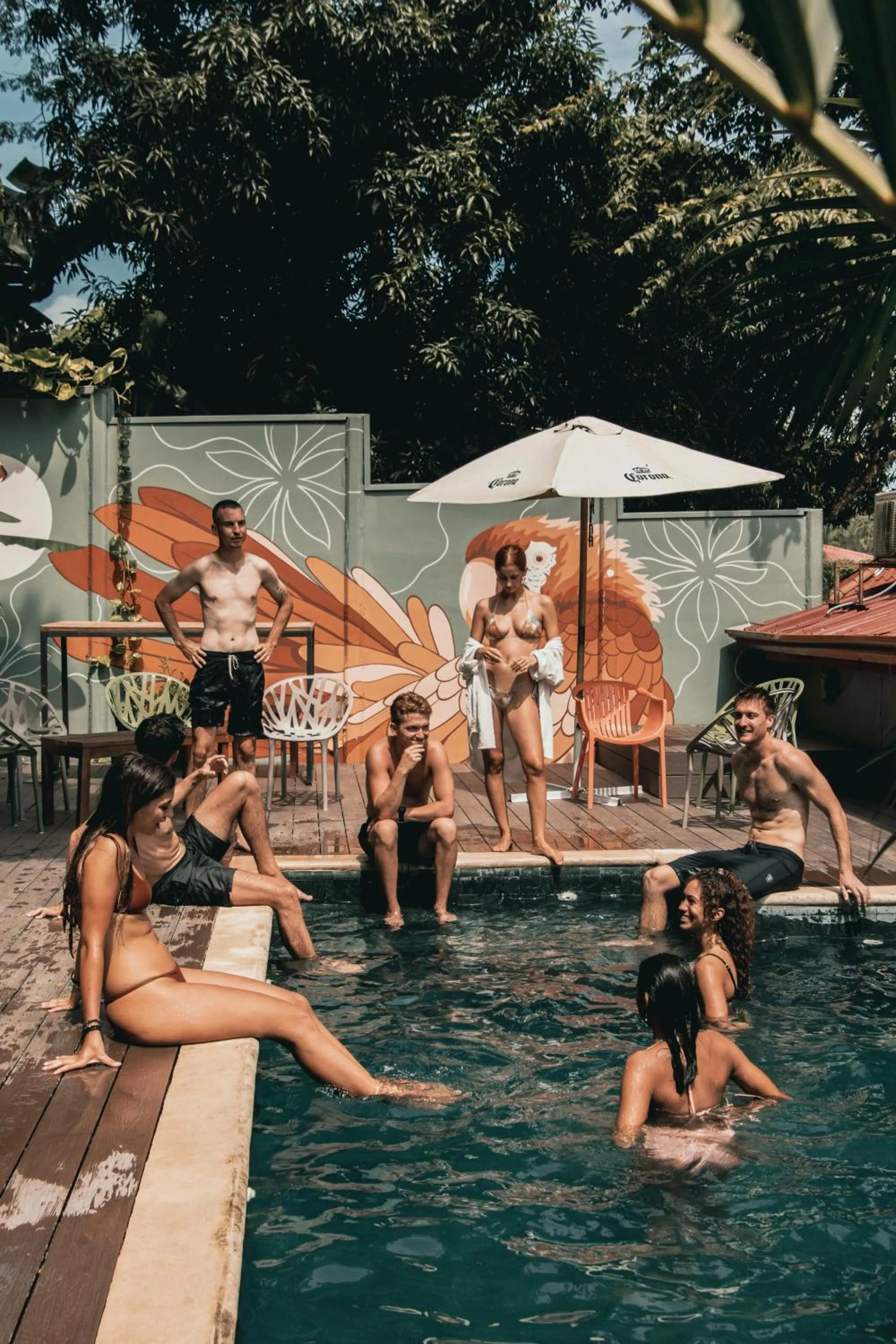 Armonia Santa Teresa