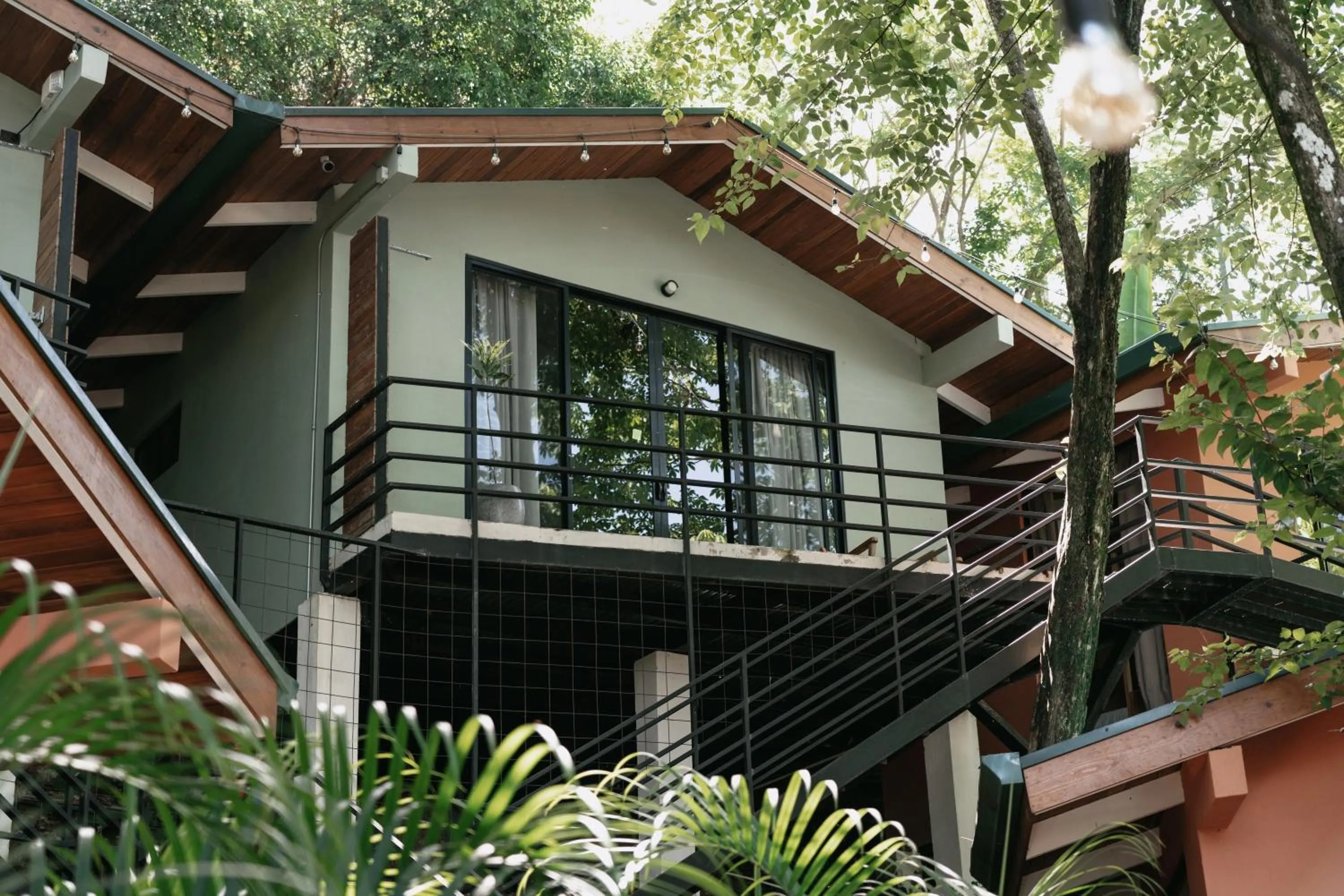 Armonia Santa Teresa