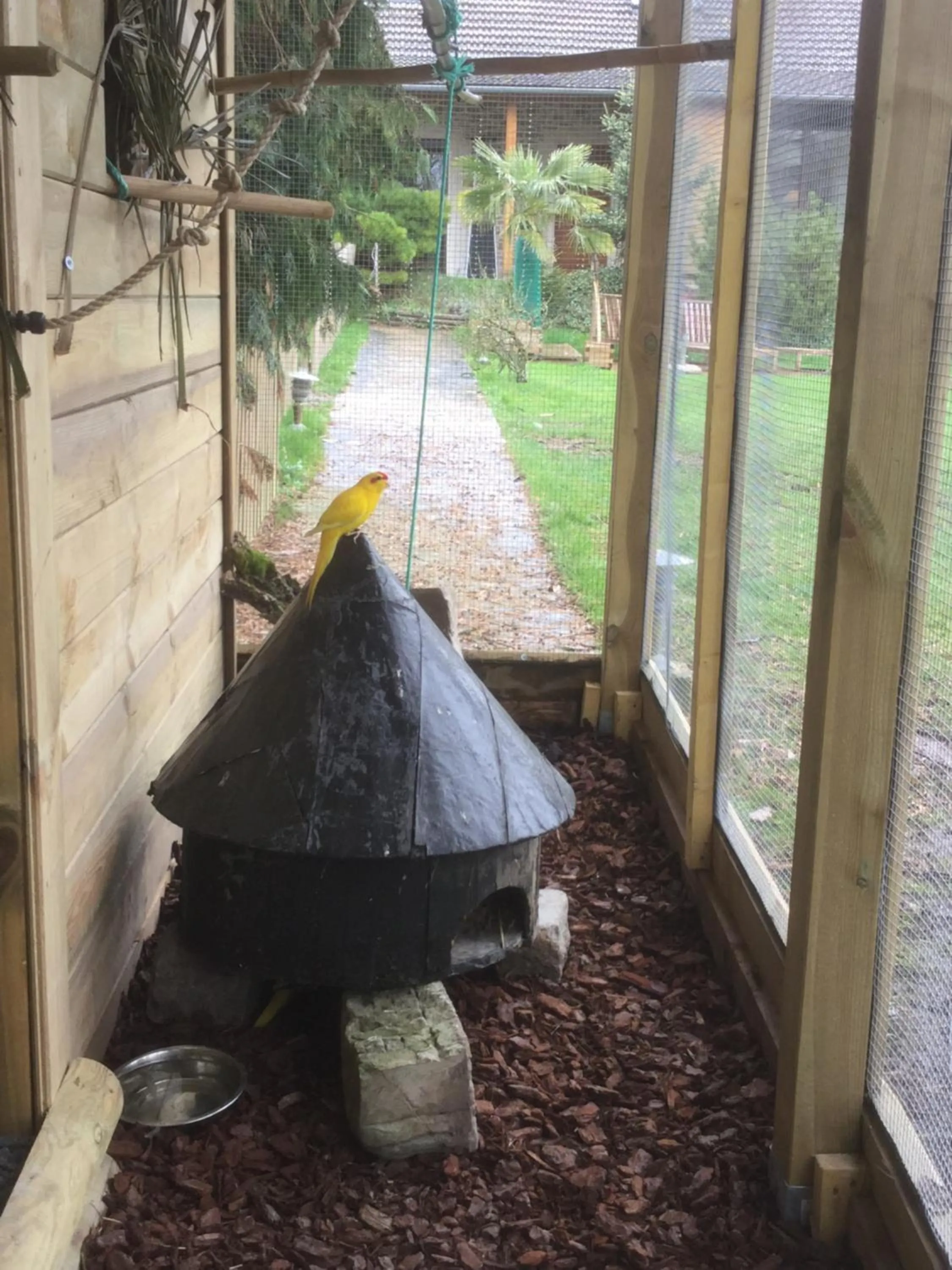 Les Crinieres En Brie