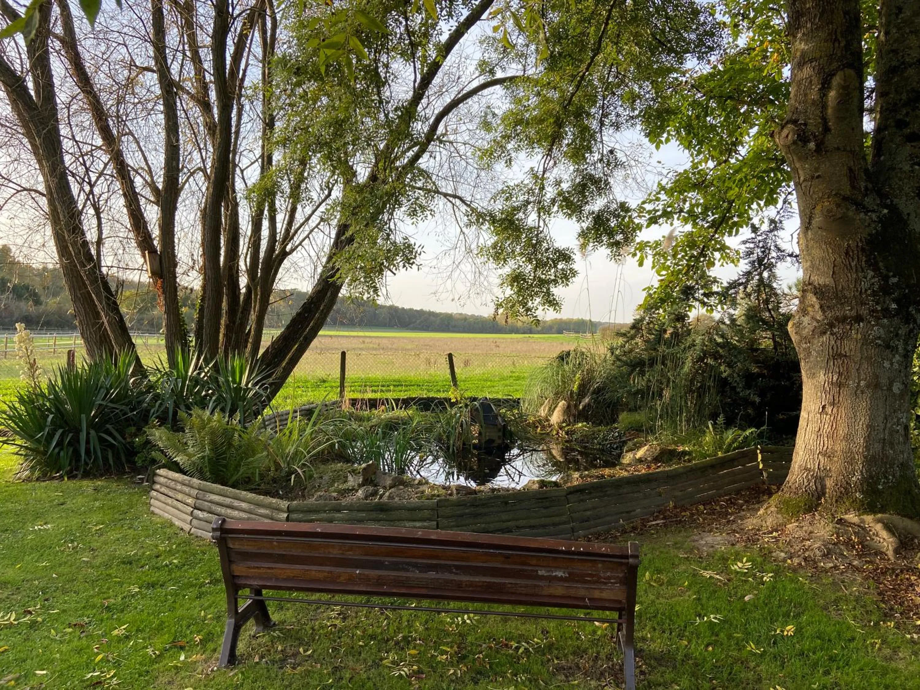 Les Crinieres En Brie