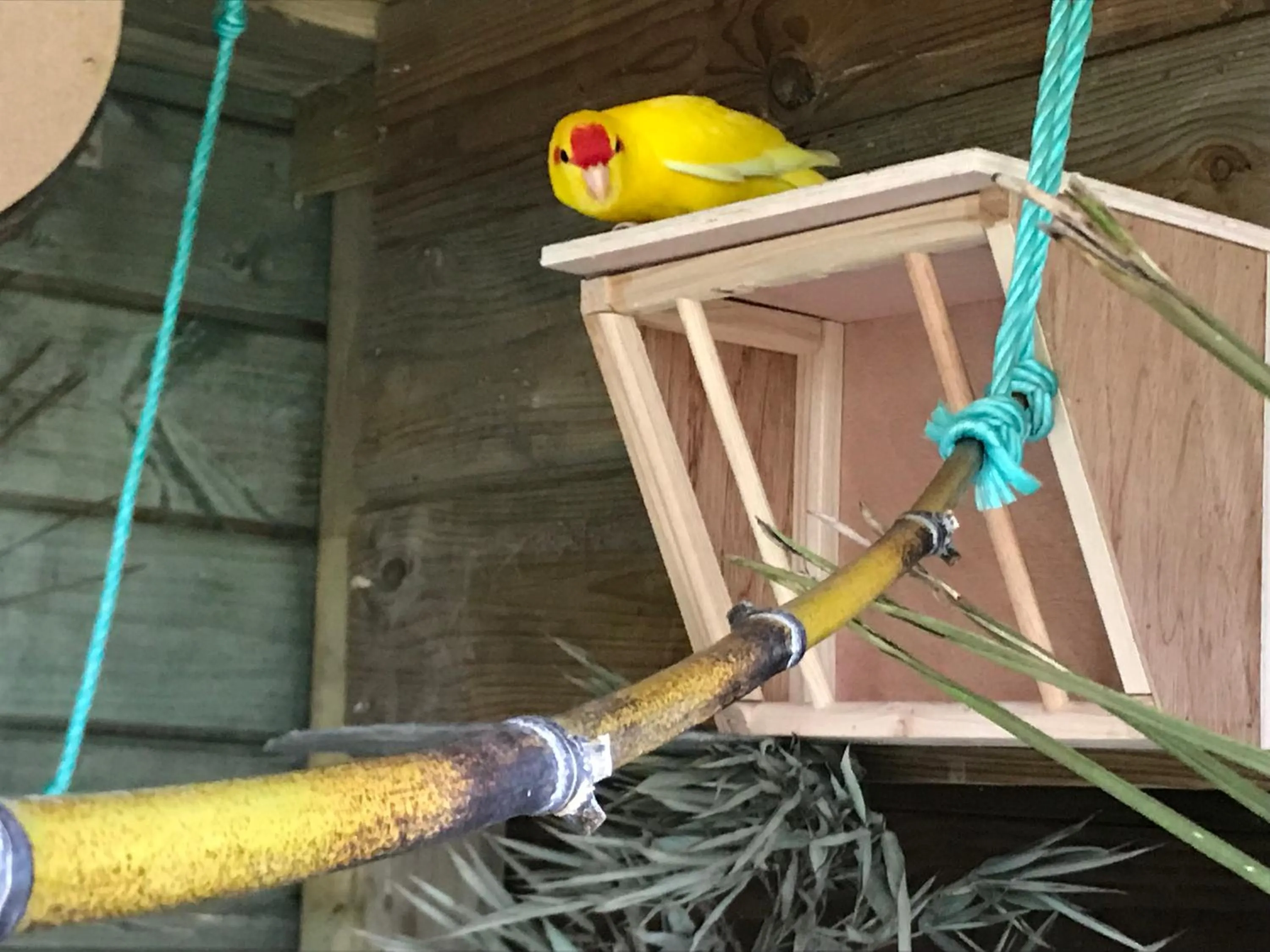 Les Crinieres En Brie