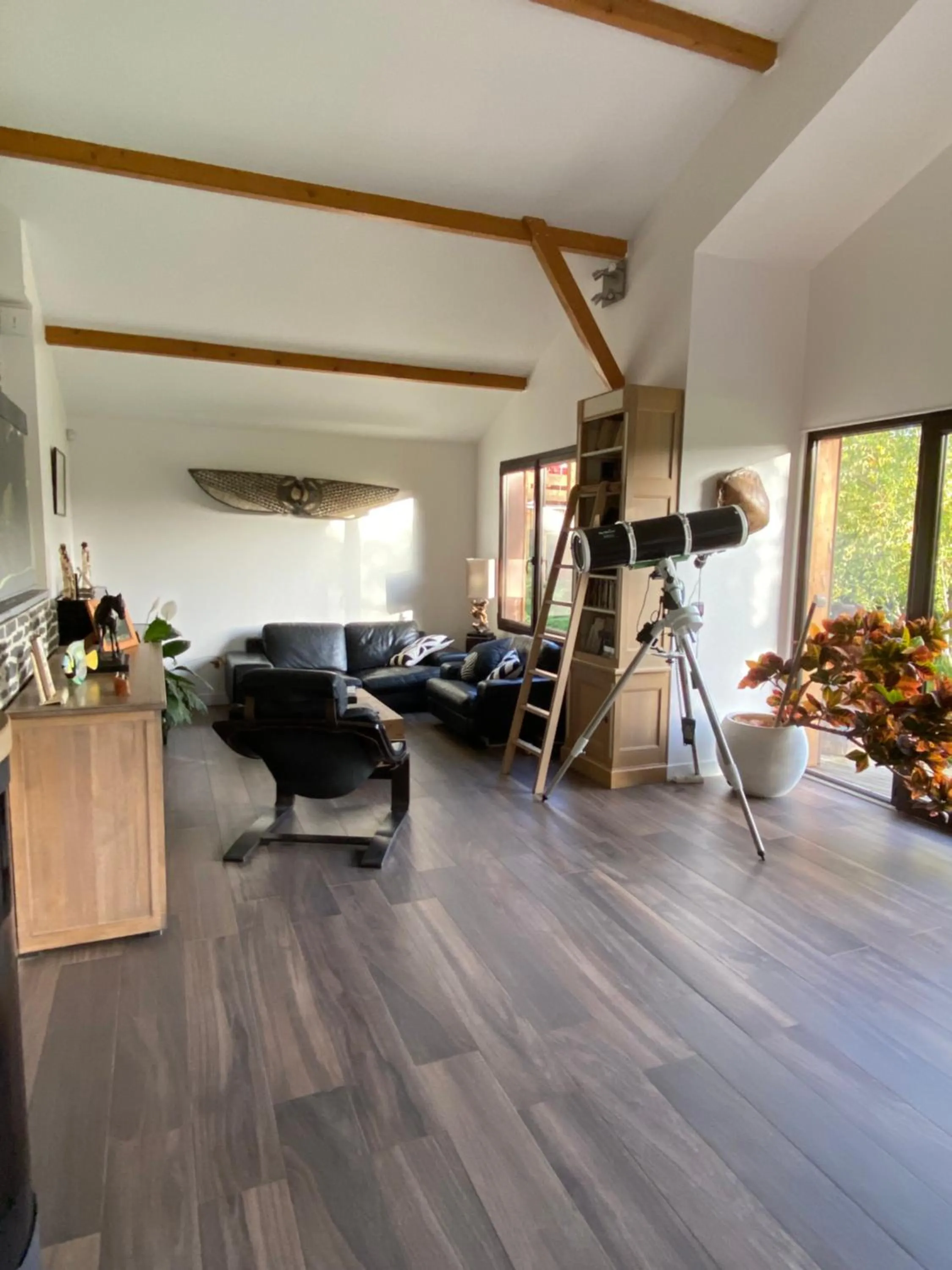 Les Crinieres En Brie