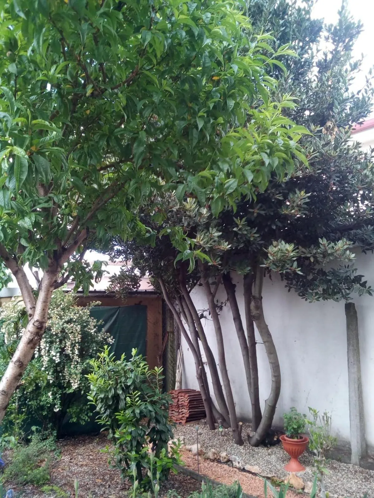 Inner courtyard view in B&B Antica Corte Lombarda