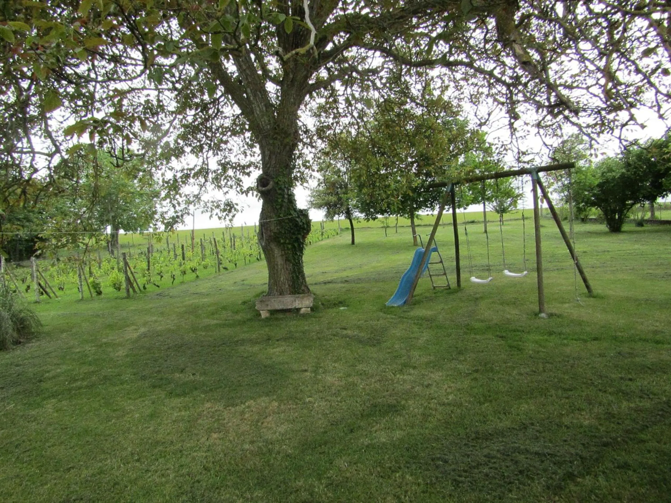 Garden view in La Piaule