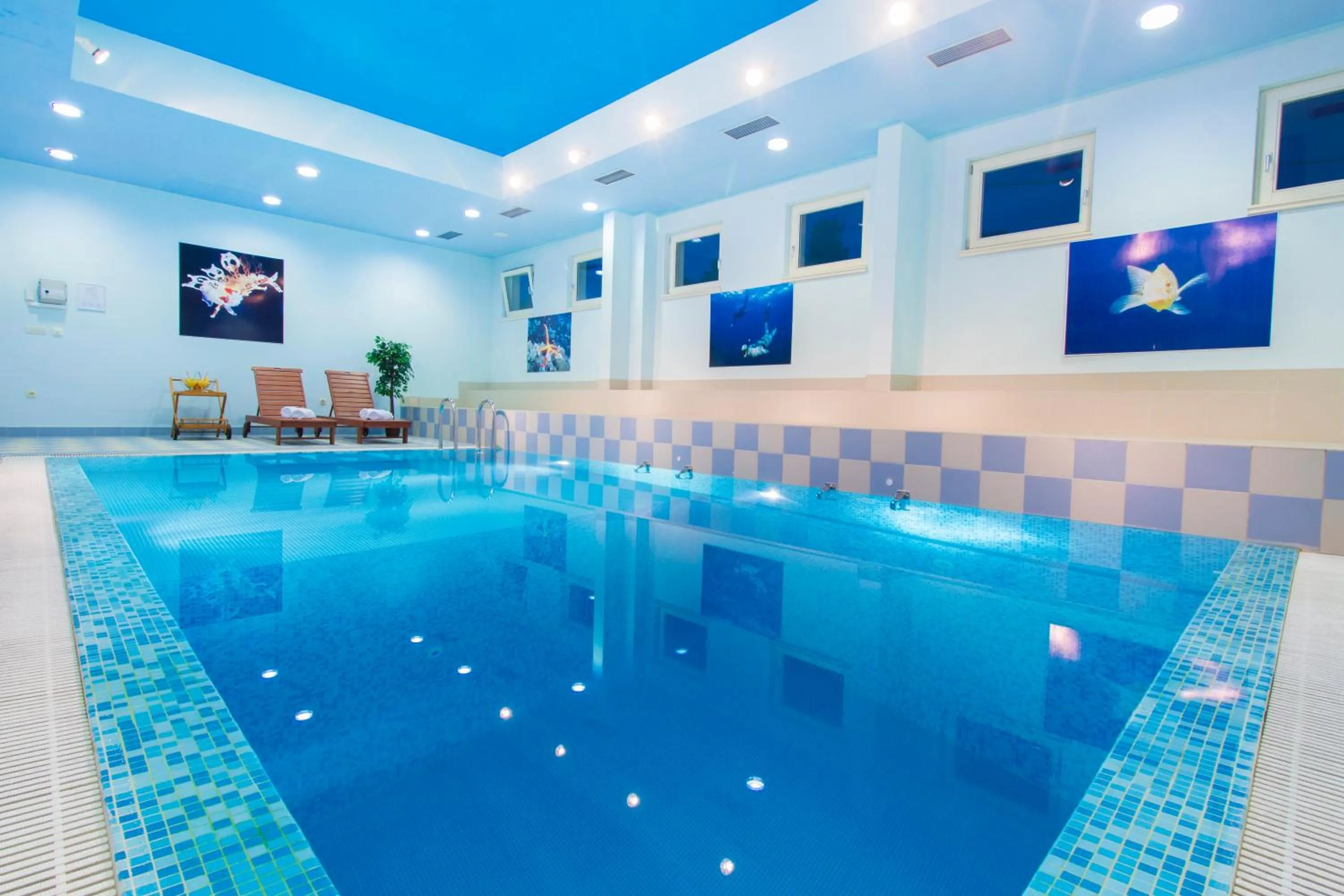 Swimming pool in Hotel Spongiola