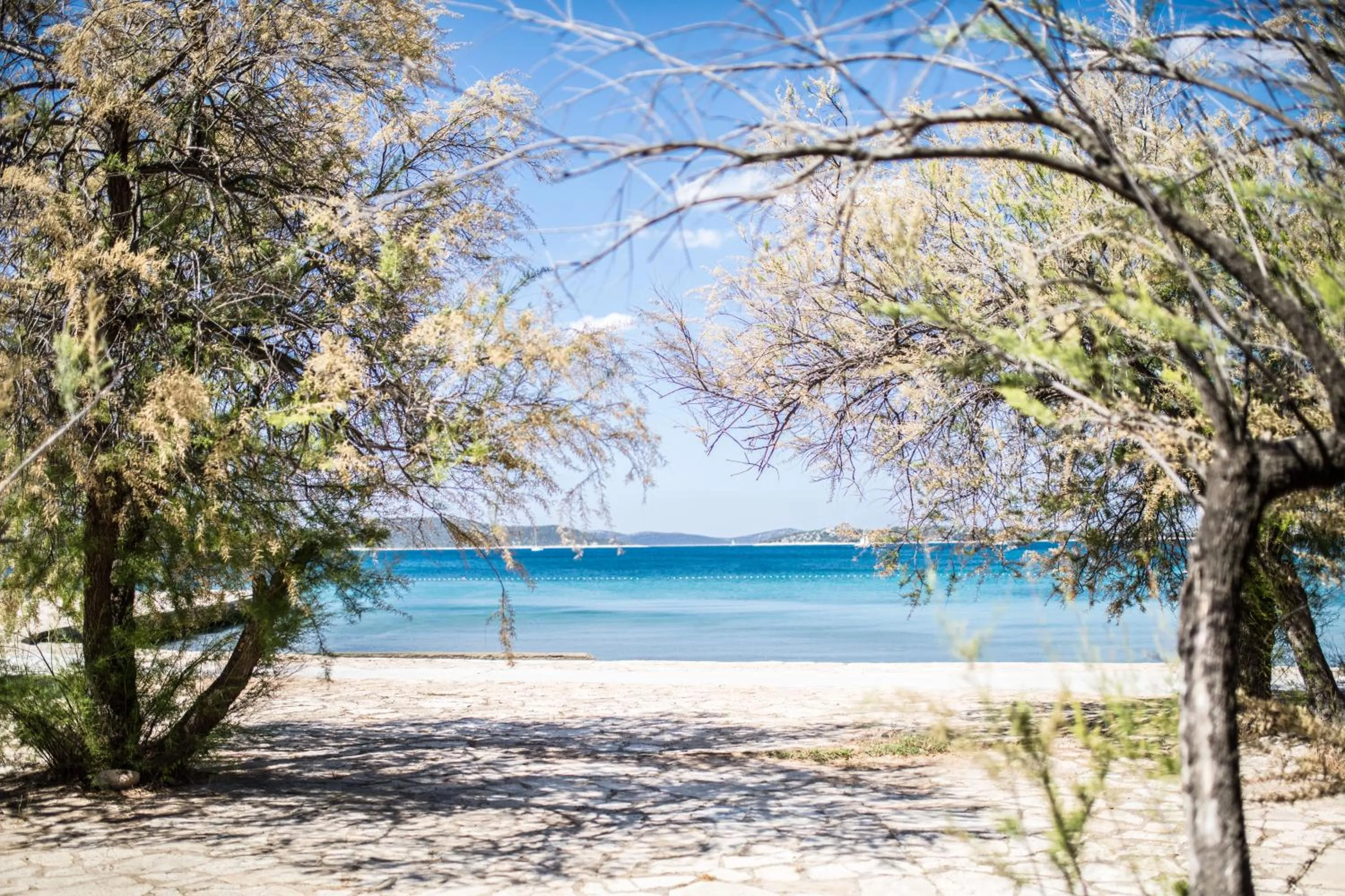 Day in Hotel Imperial