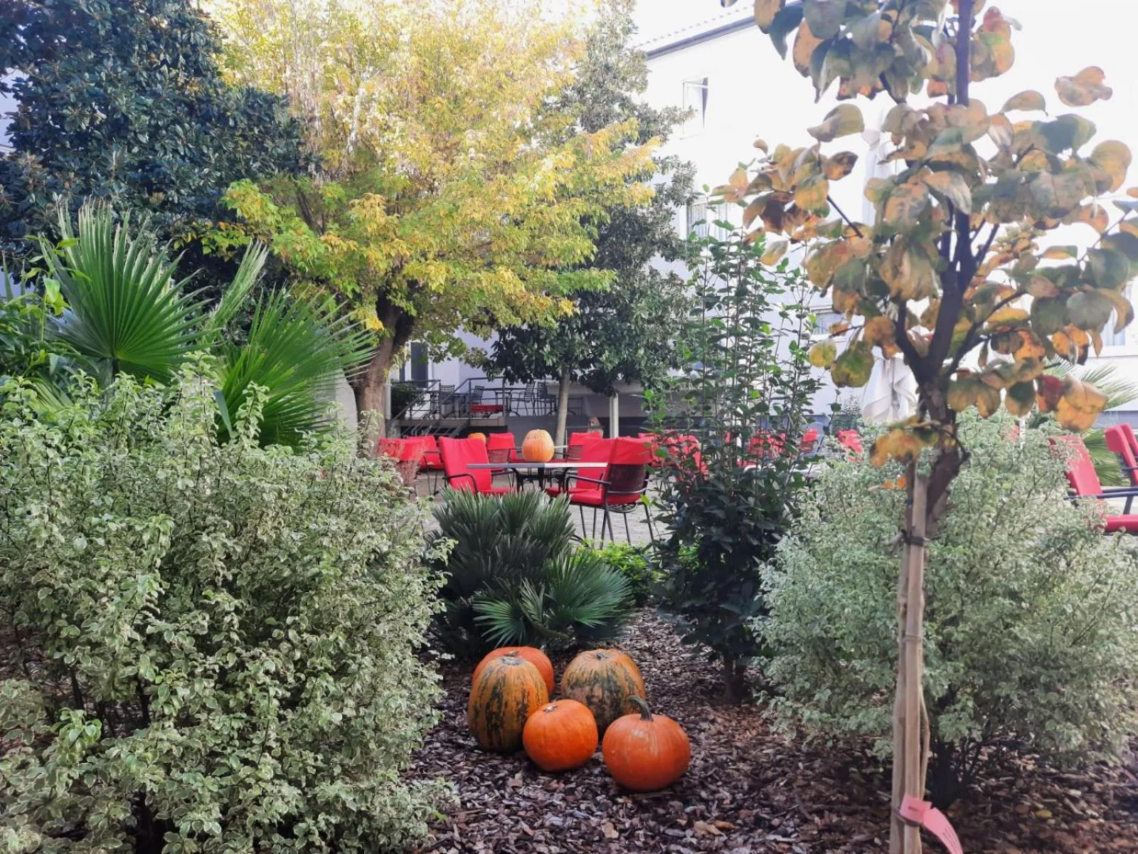 Garden in Hotel Porto