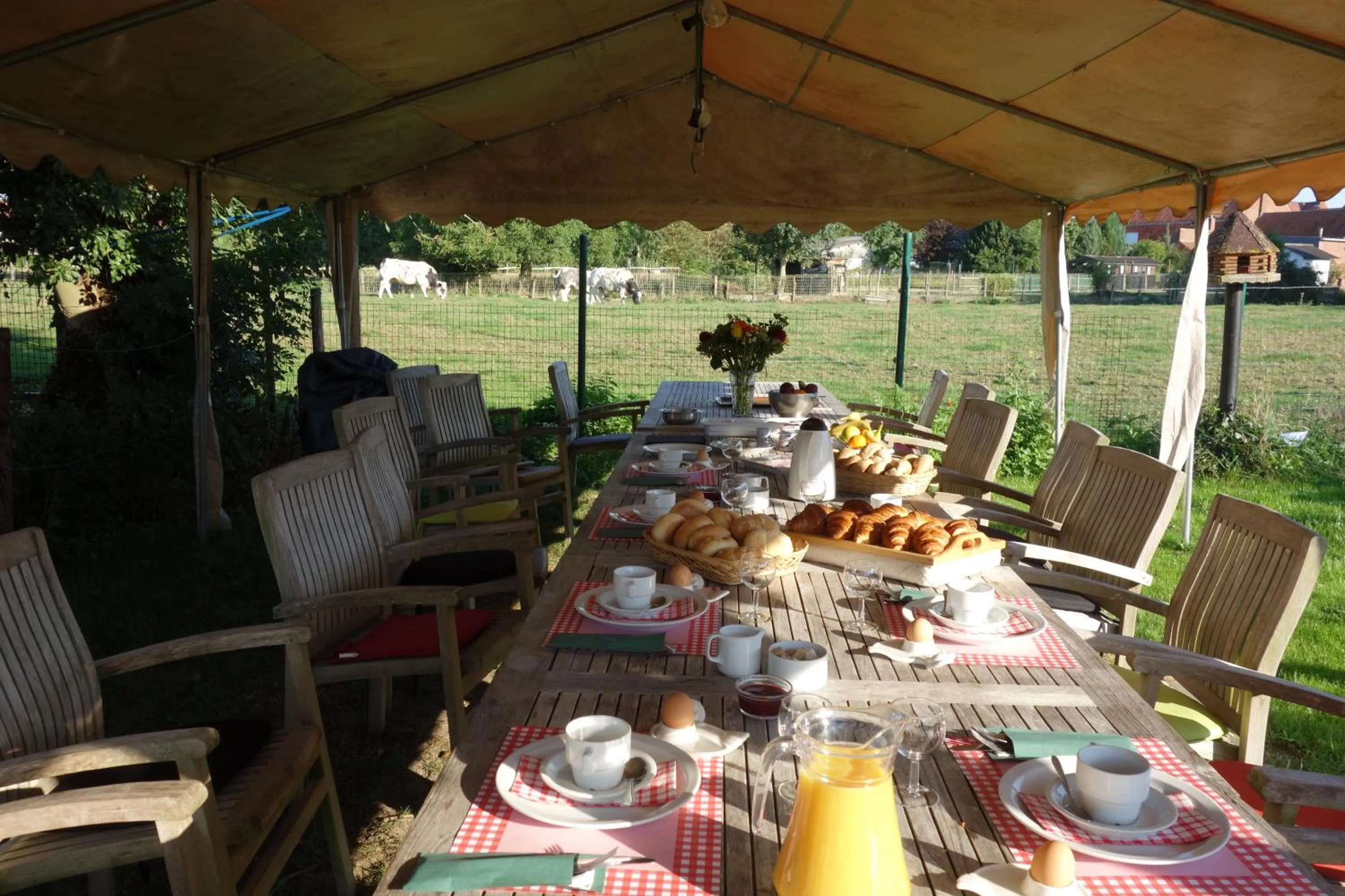 BBQ facilities in Elckerlyck Inn Hotel