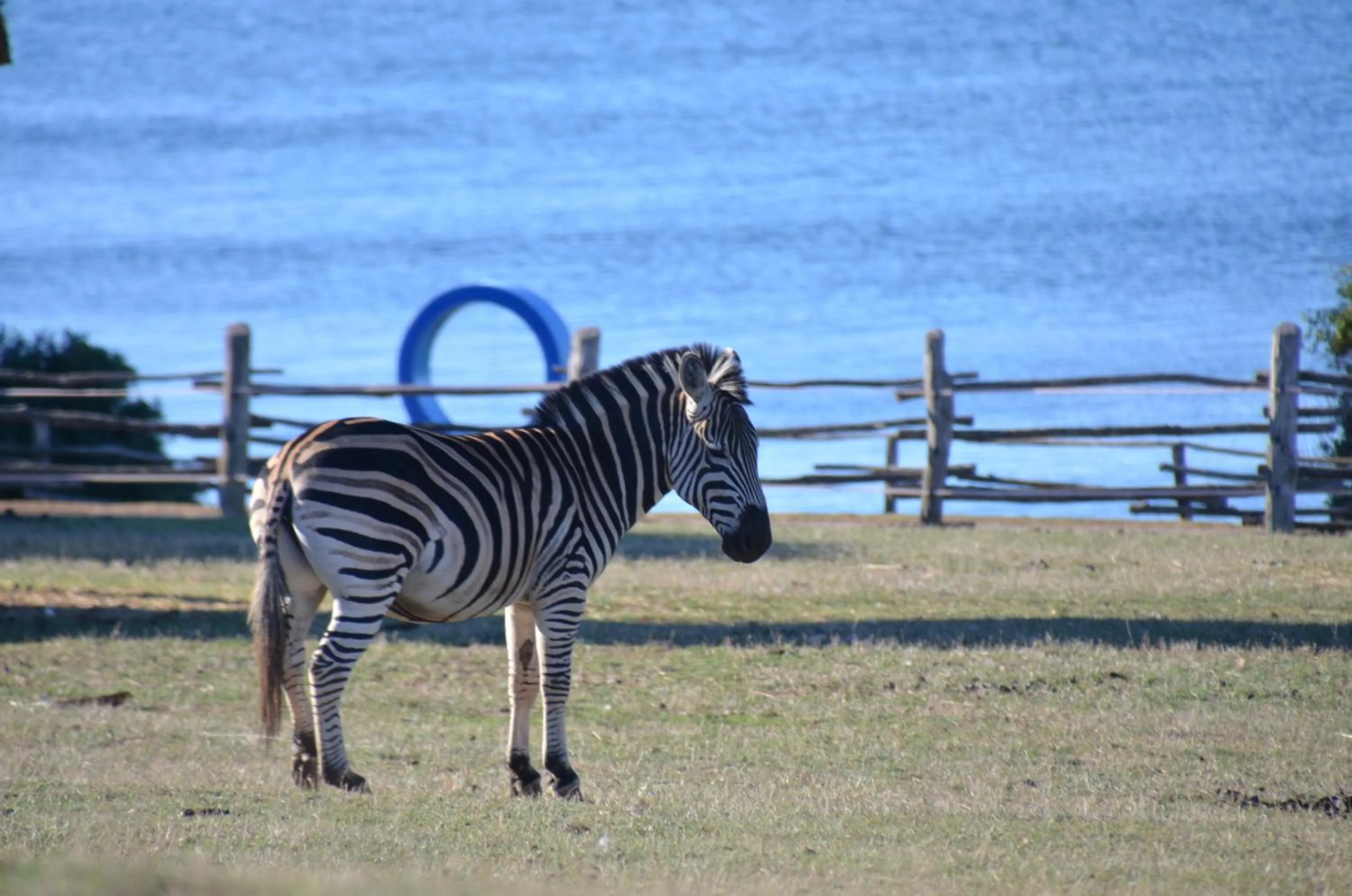 Nearby landmark in Villetta Phasiana