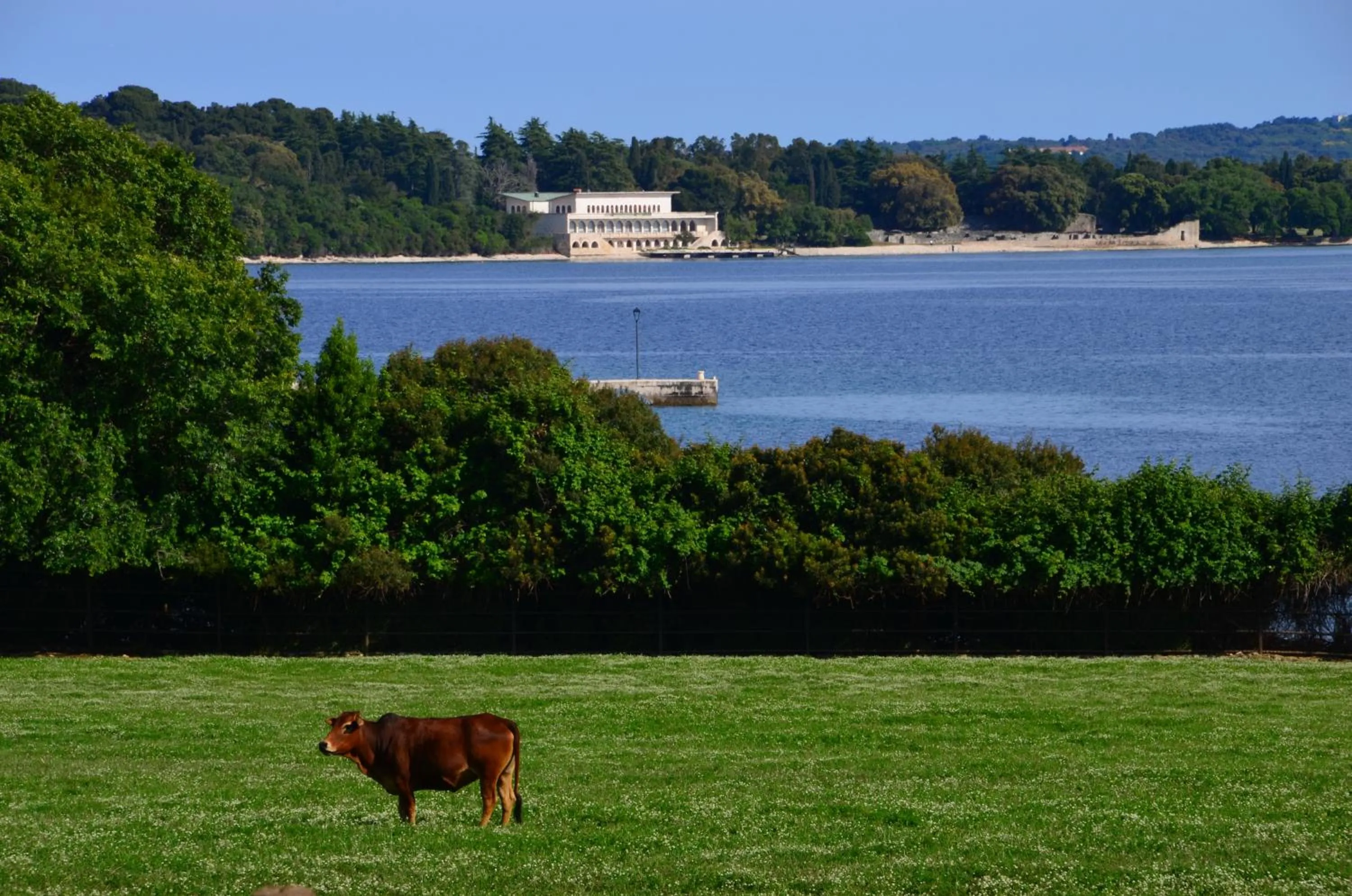 Nearby landmark in Villetta Phasiana