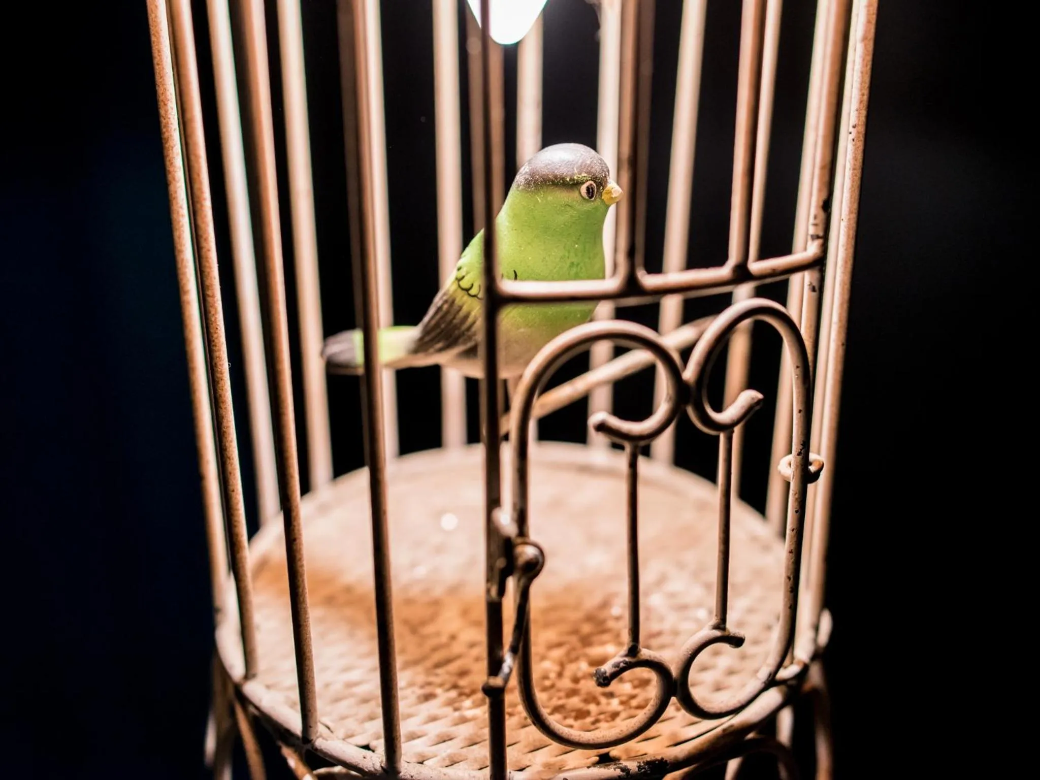 Decorative detail in 1er Etage SoPi-Montmartre