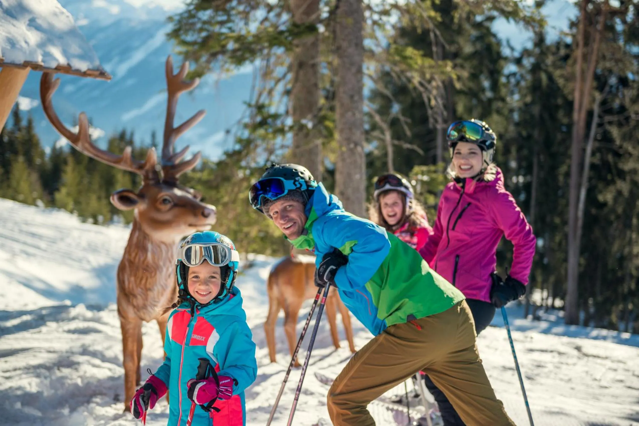 Skiing in ride & relax Aparthotel Schwarz