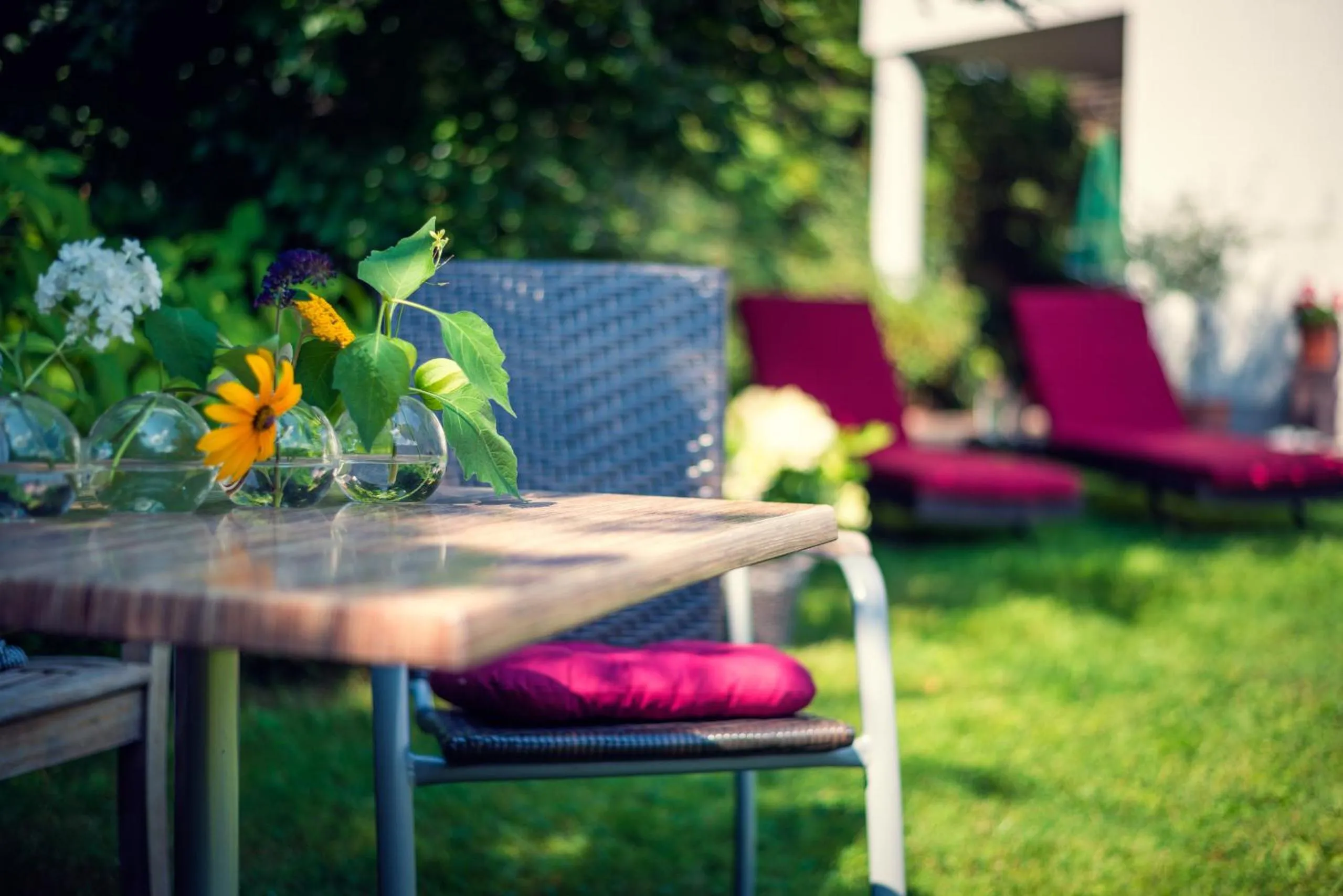 Garden in ride & relax Aparthotel Schwarz