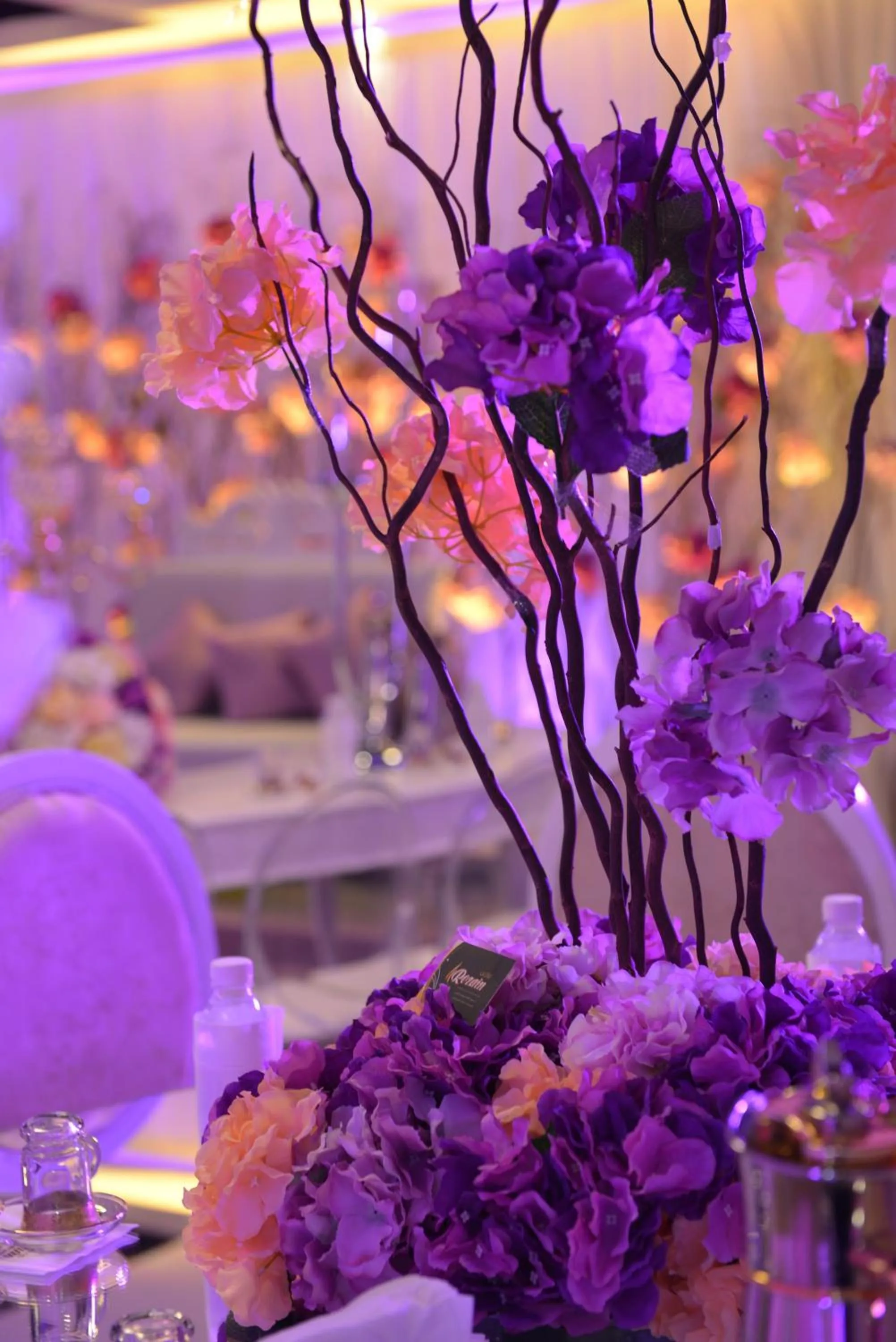 Area and facilities in Al Ahsa Grand Serviced Apartment