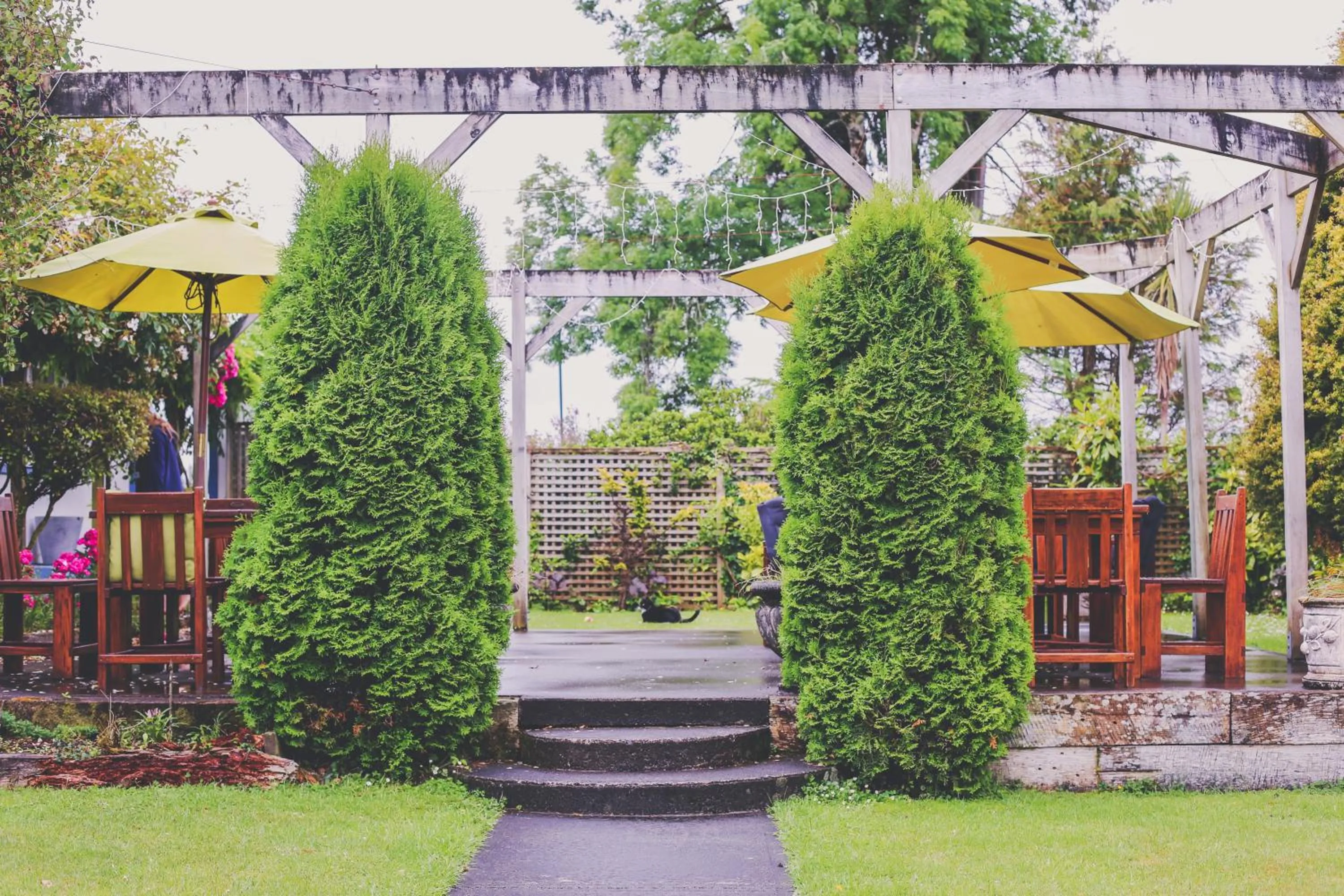 BBQ facilities in Tongariro Crossing Lodge