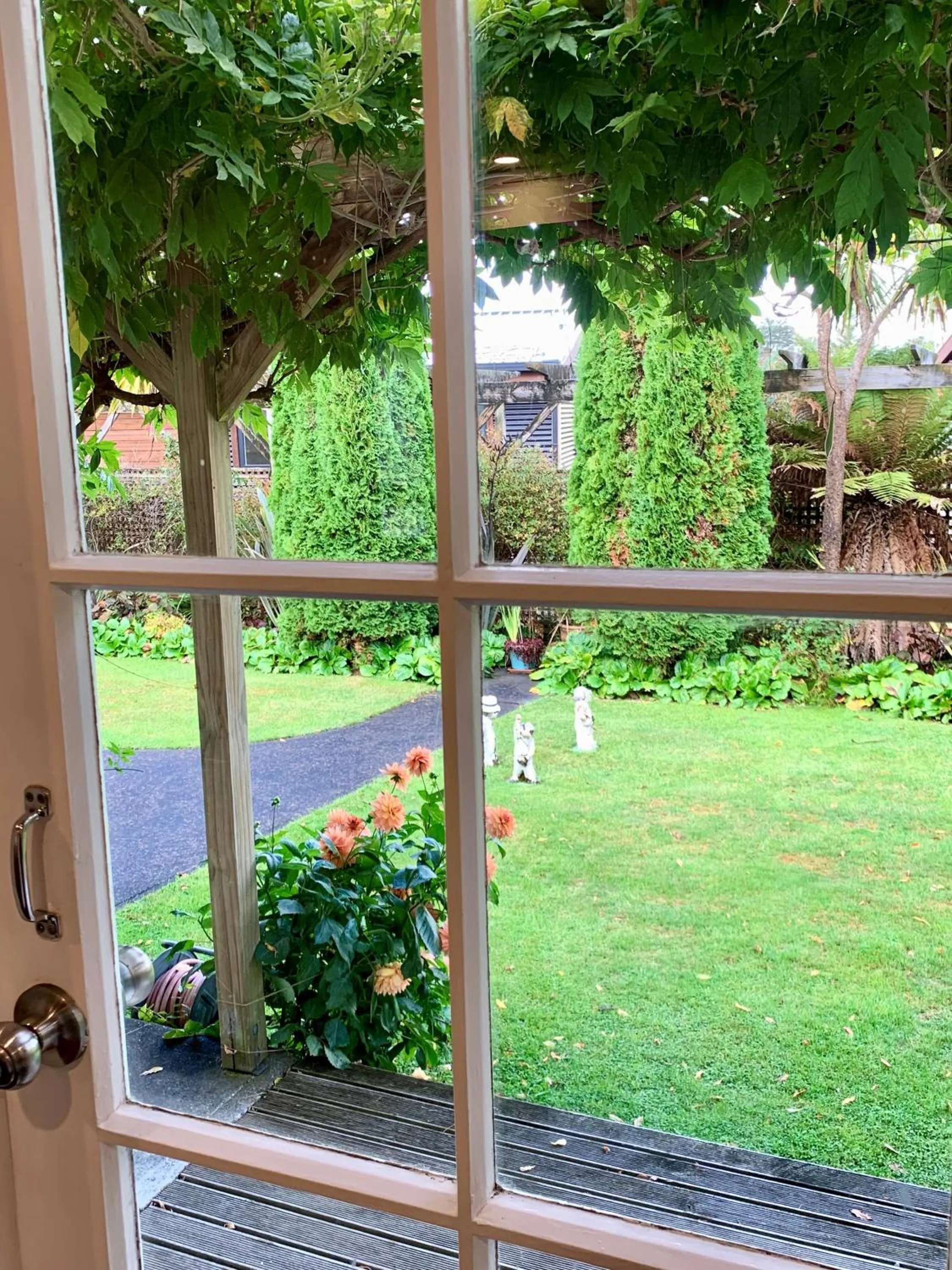 Garden in Tongariro Crossing Lodge