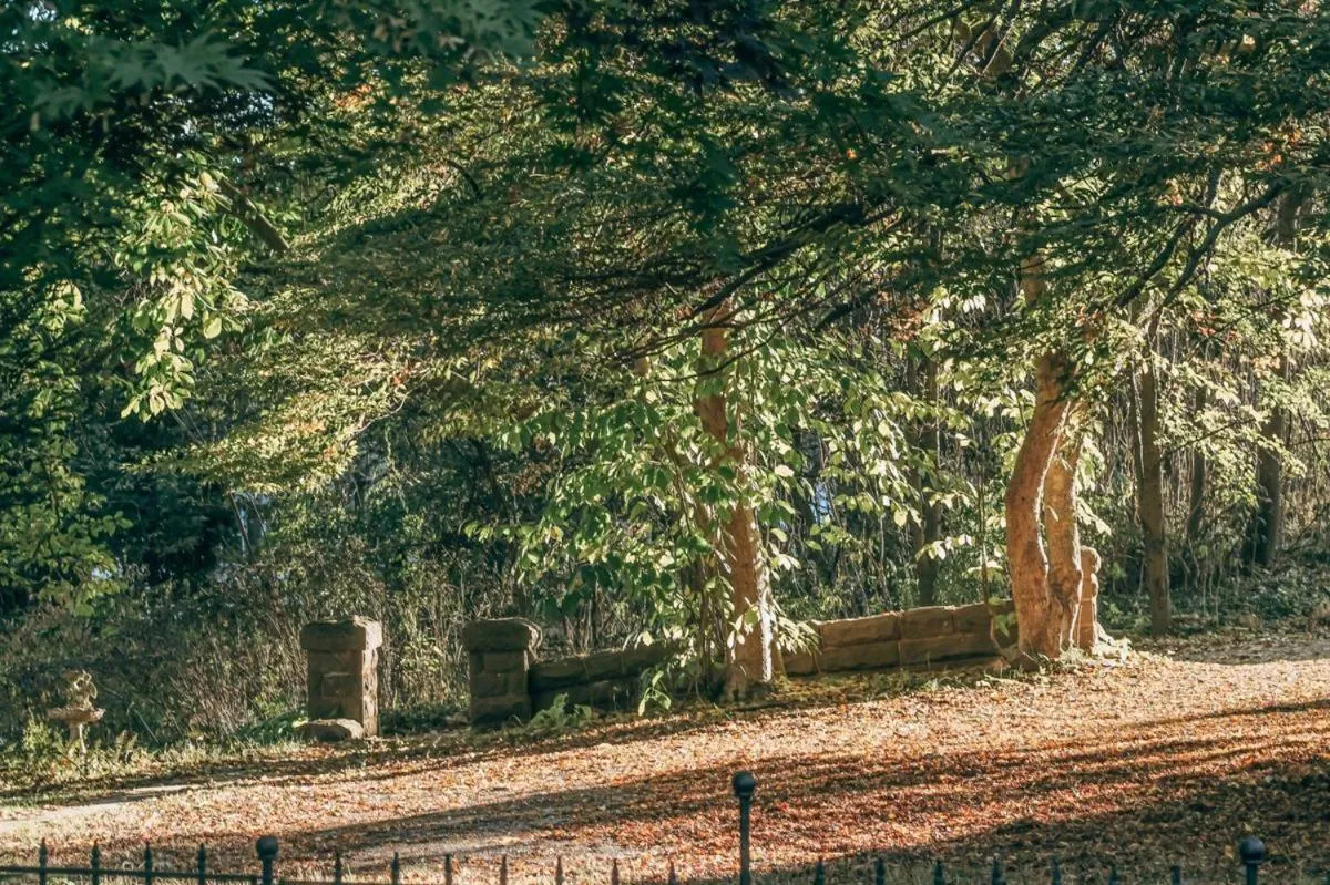 Property building in The Emig Mansion