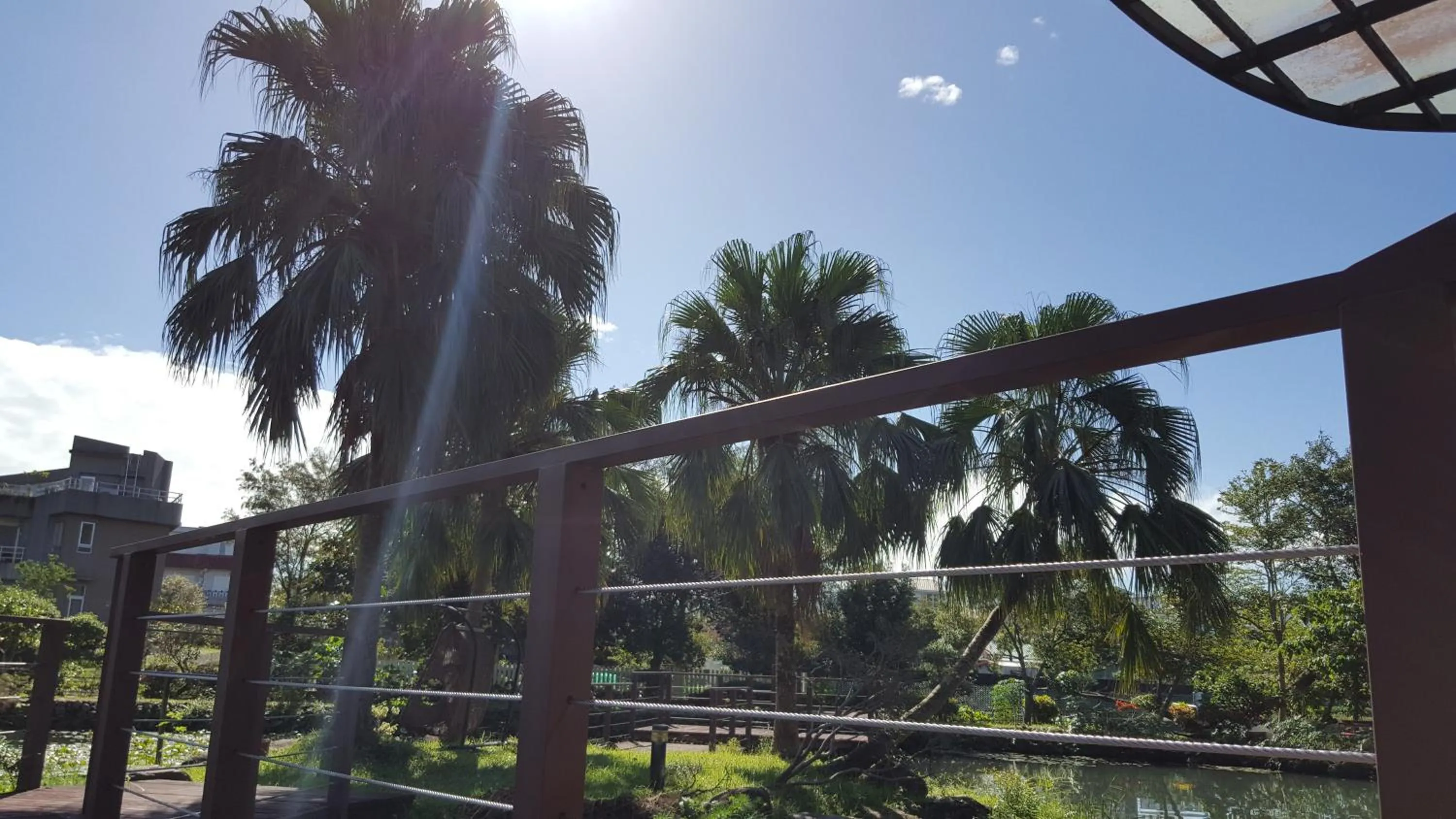 View (from property/room) in The House of Water