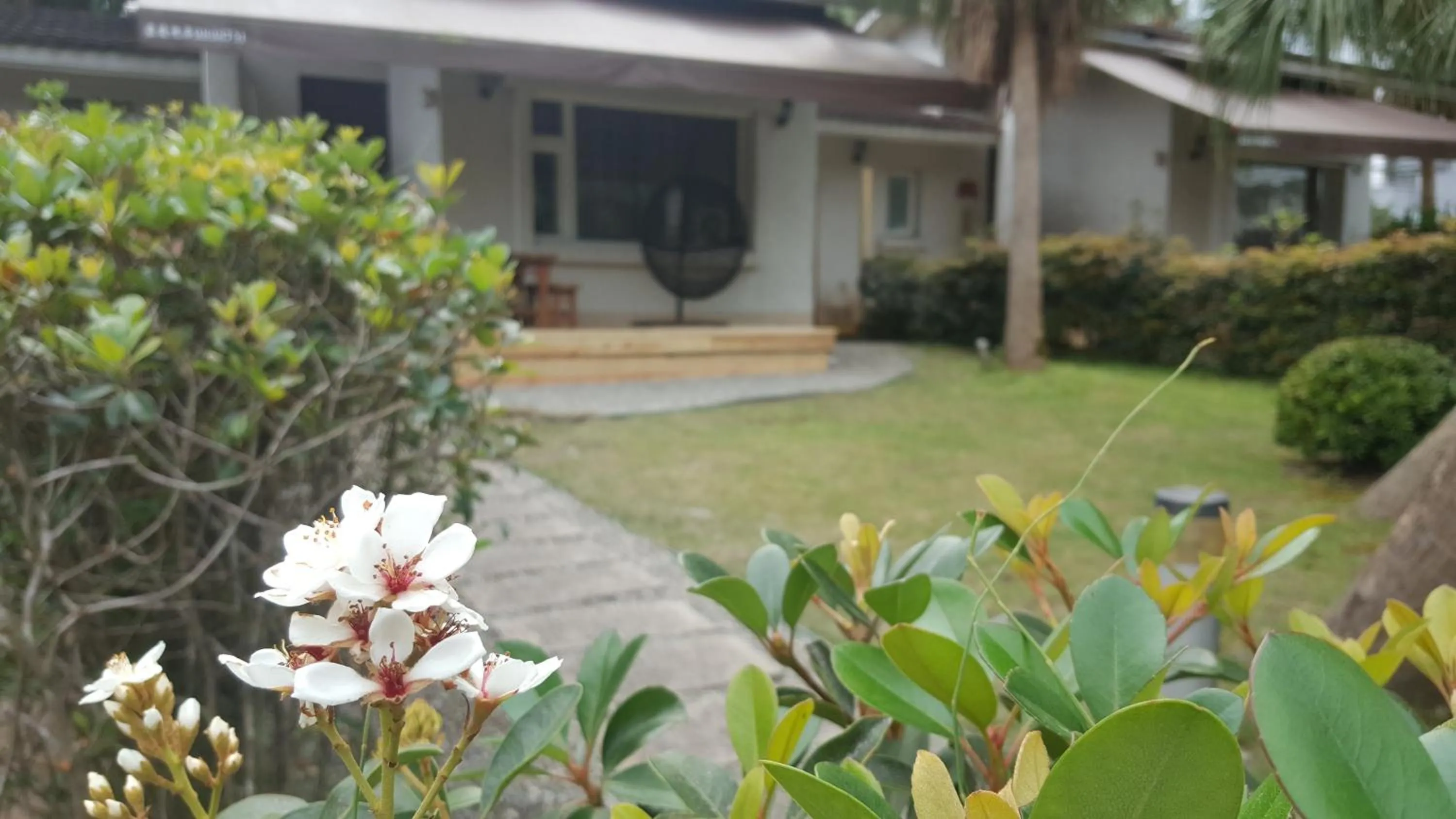 Property building in The House of Water