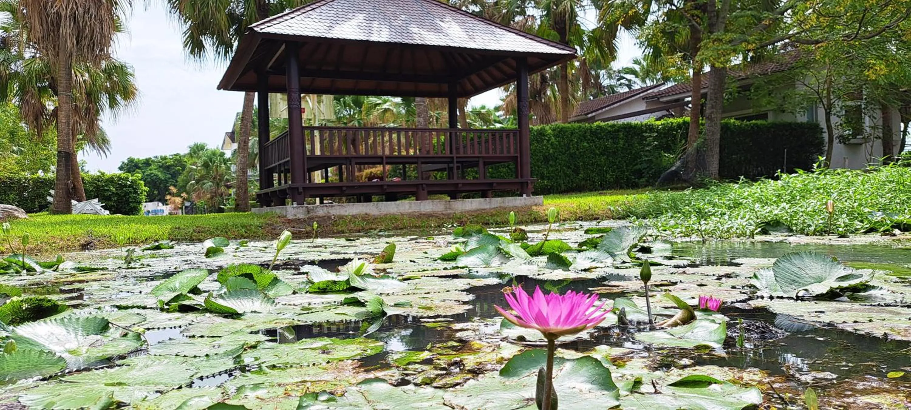 Property building in The House of Water