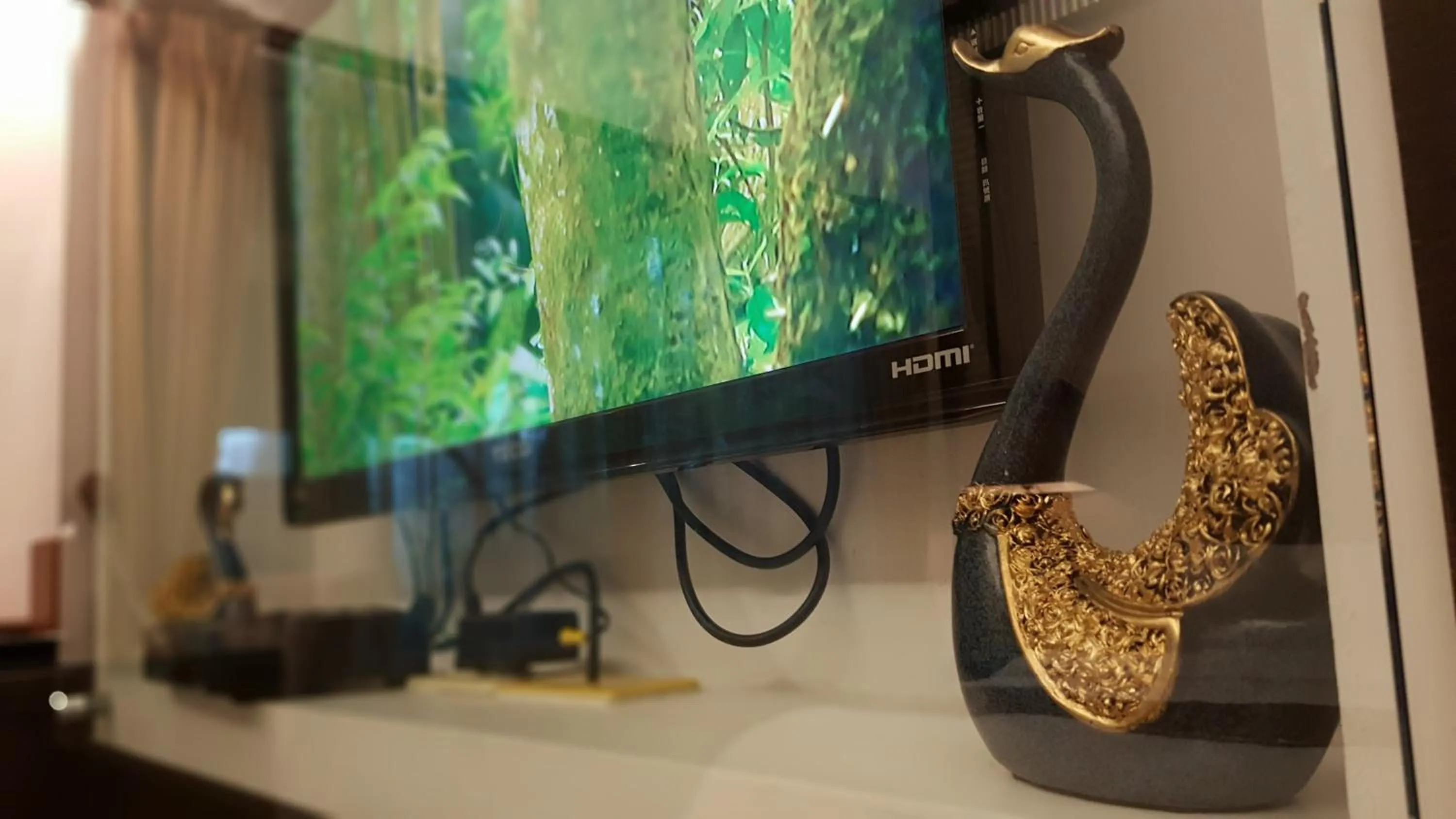 TV and multimedia in The House of Water