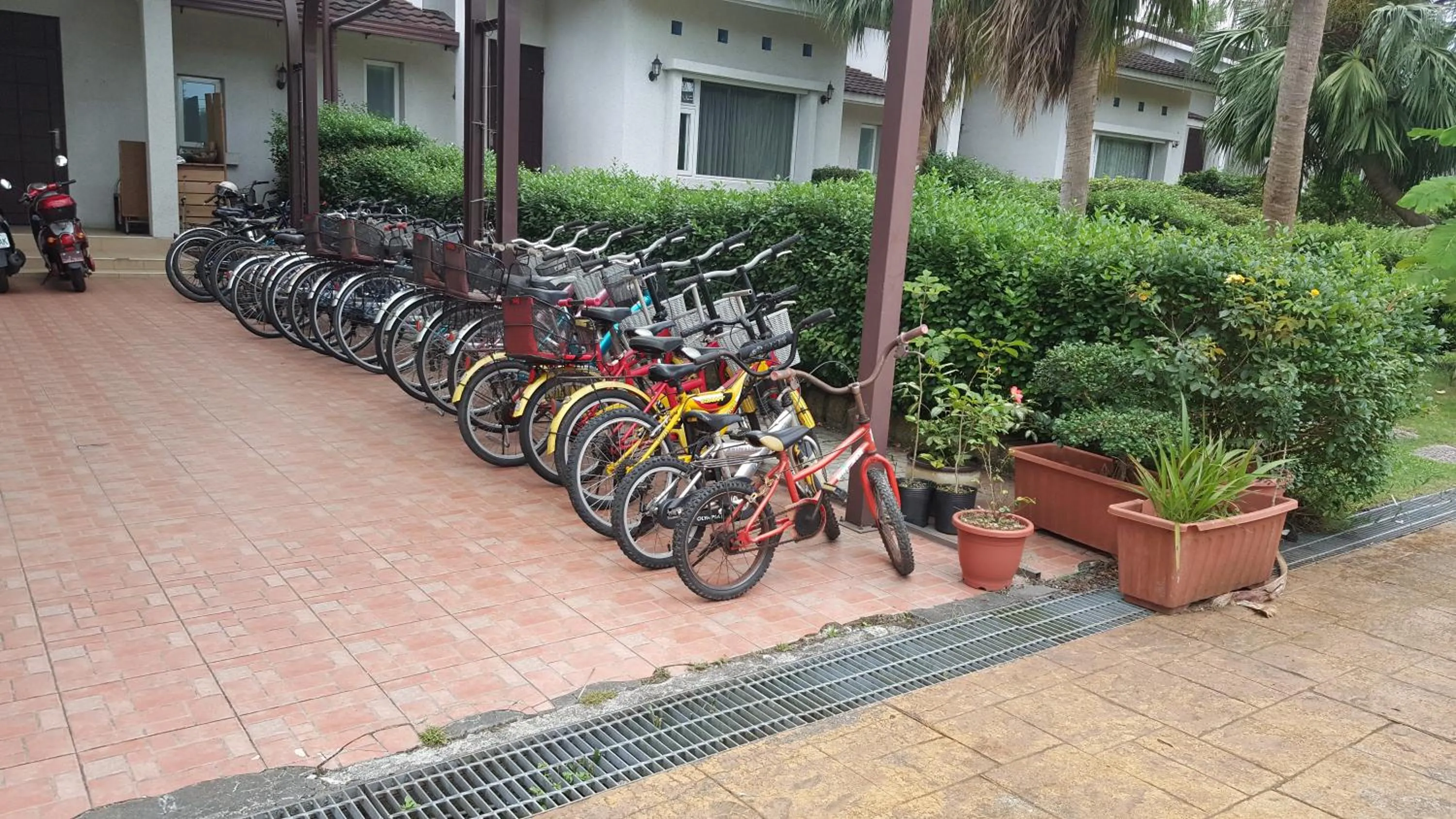 Day in The House of Water