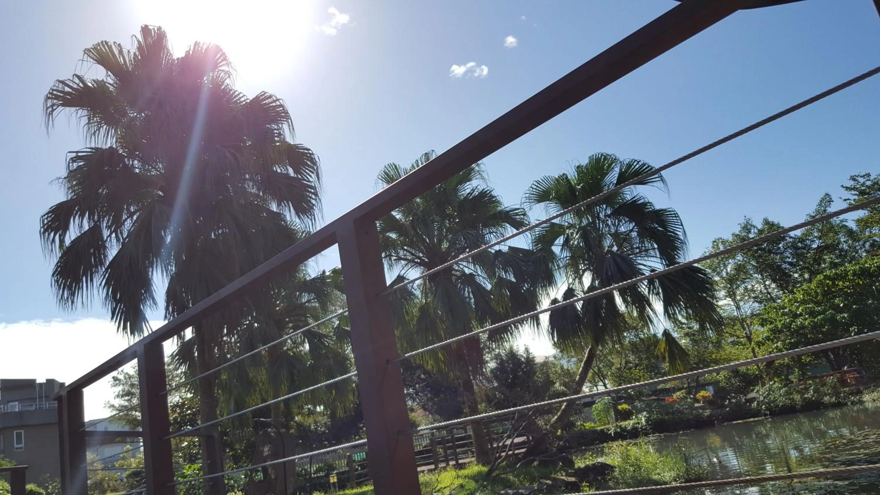 Natural landscape in The House of Water